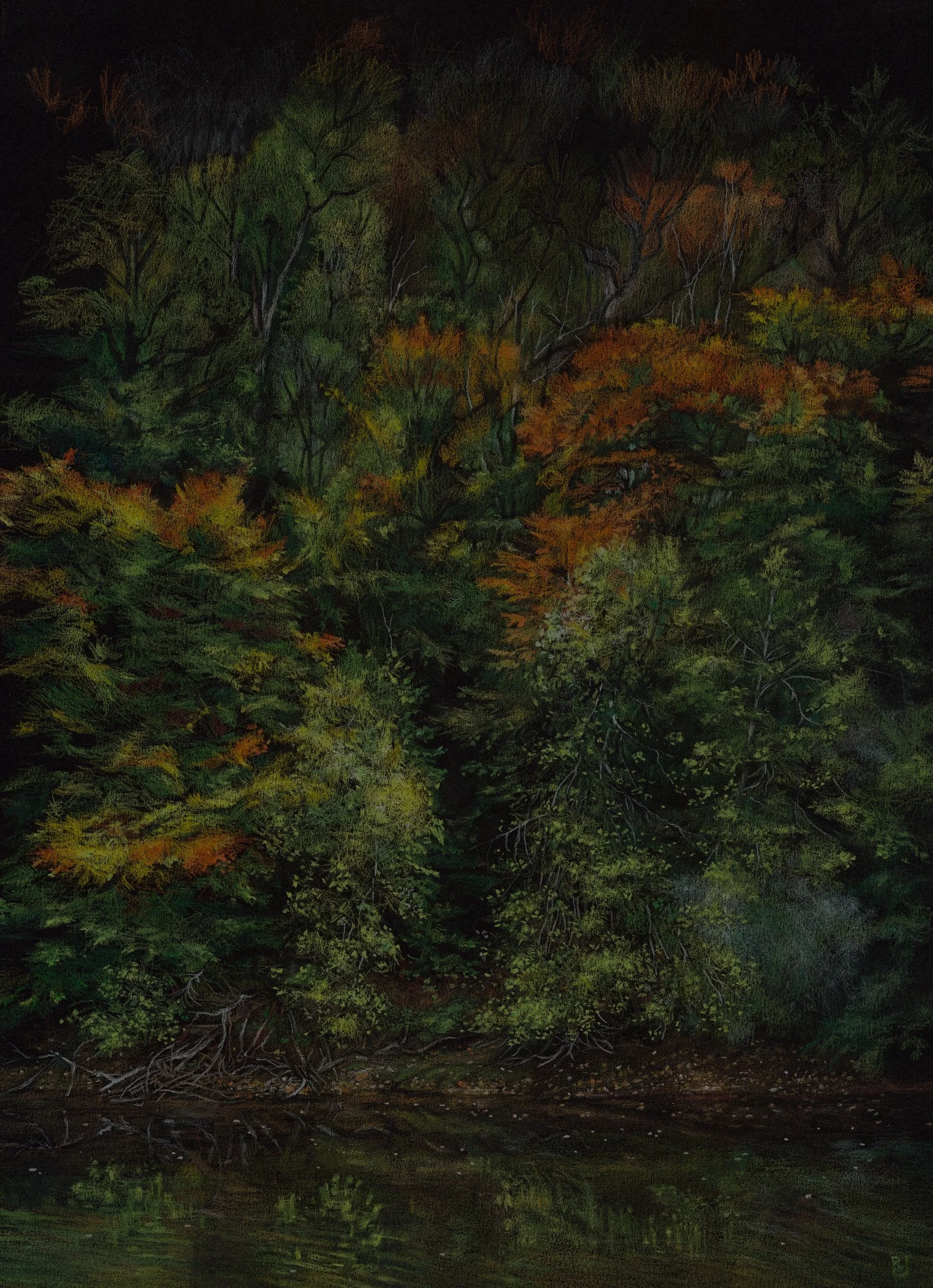 Rose Jones - River Severn Trees October.jpg