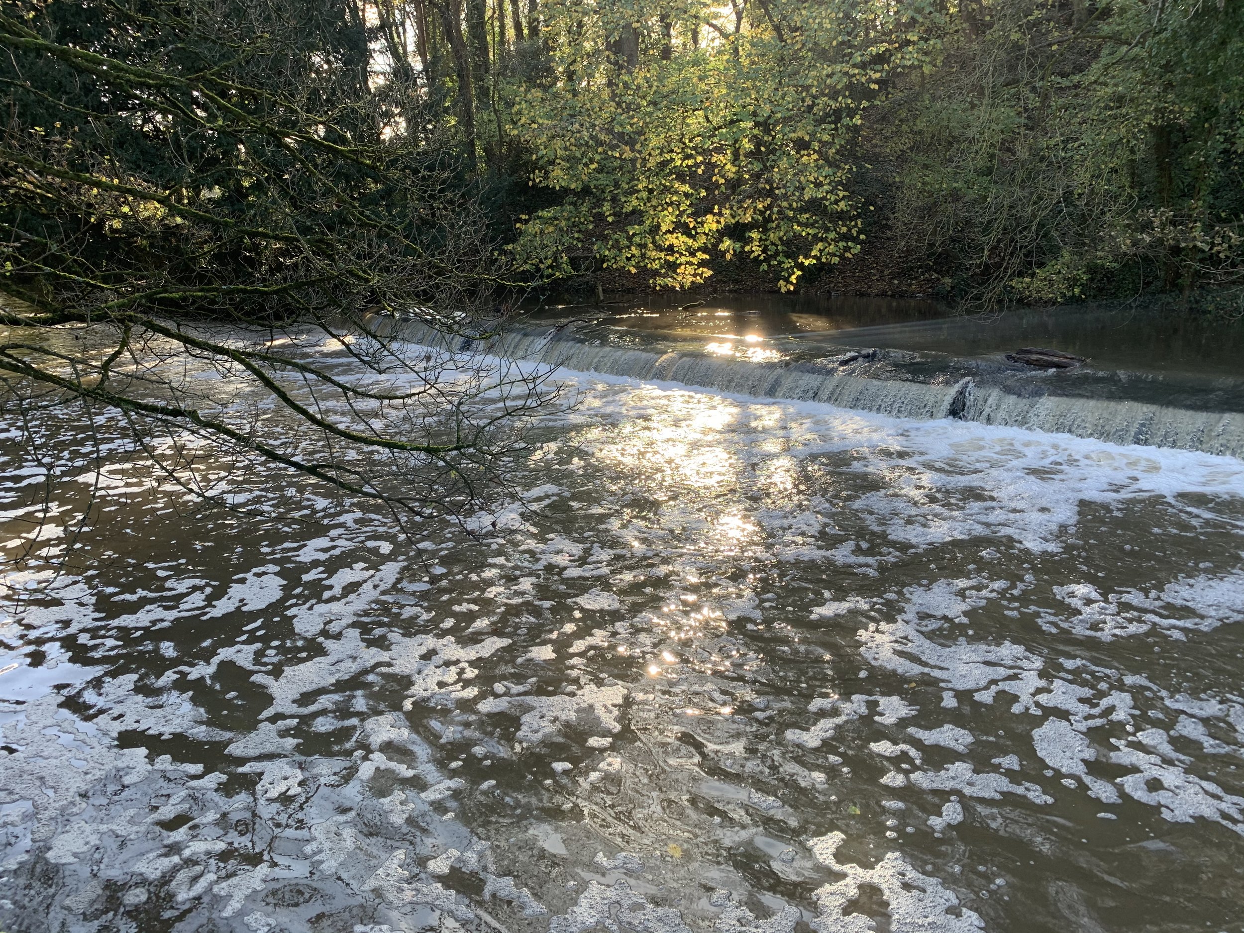 Eastville Park and Snuff Mills (evening walk)