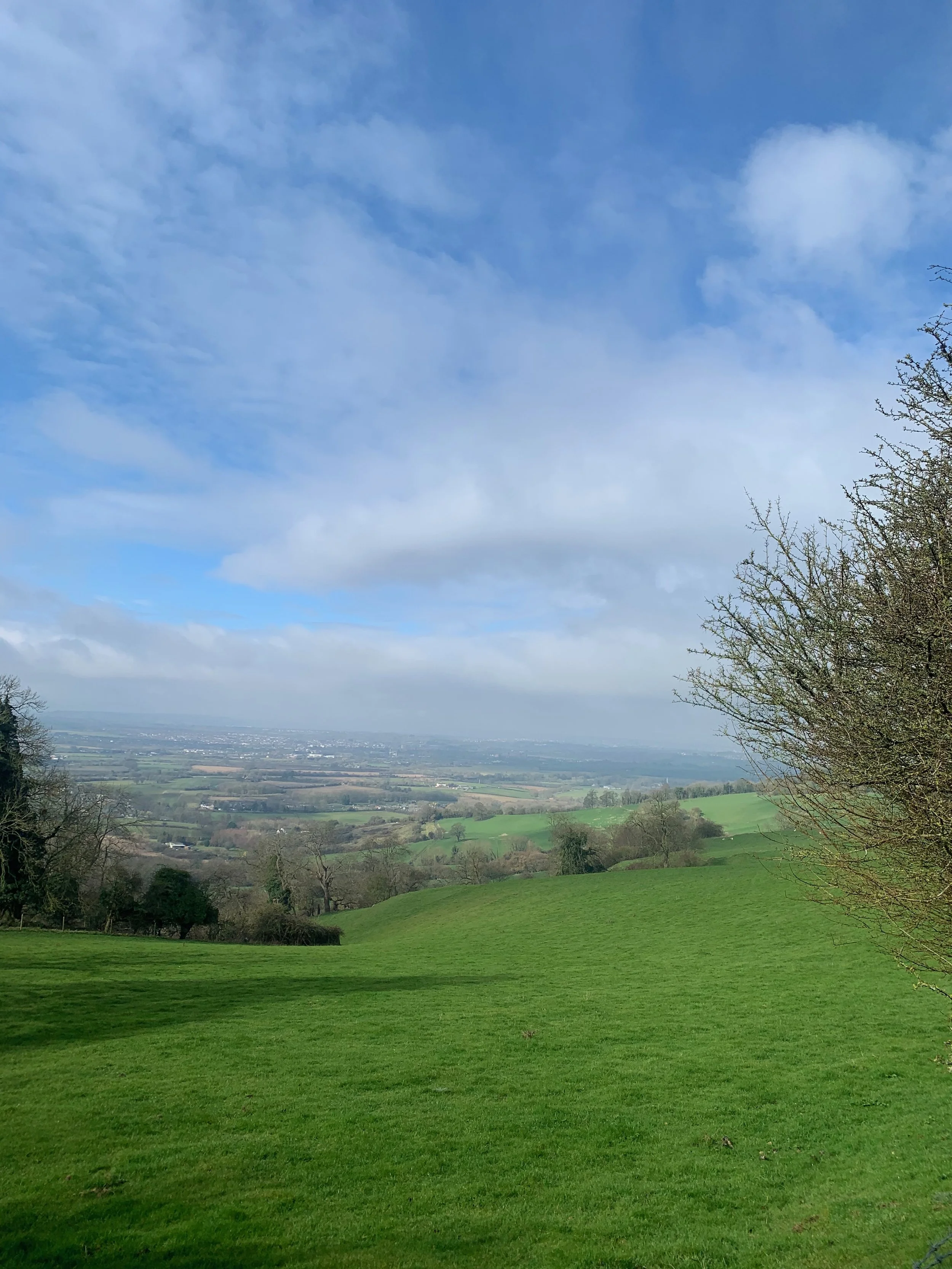 Kelston Roundhill &amp; cafe