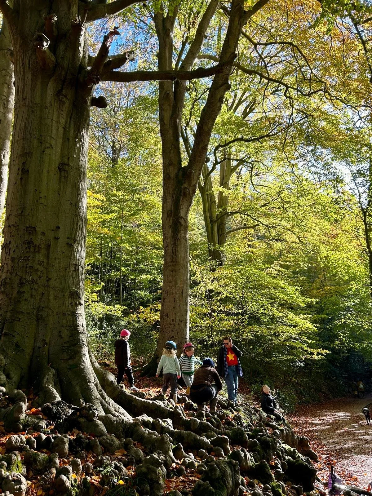 Blaise Estate with Bristol Queer Parents