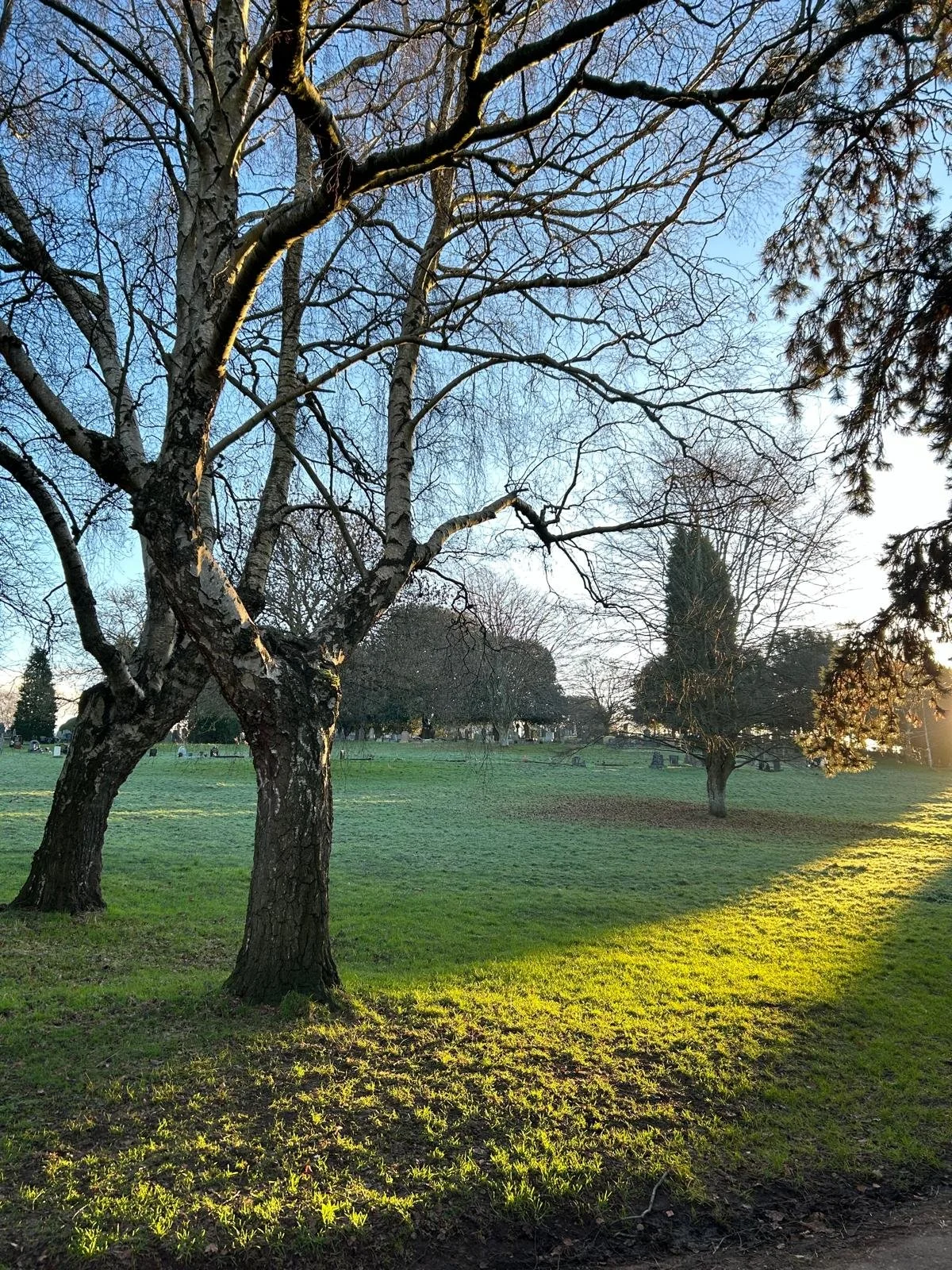 Greenbank Cemetery and St George Park
