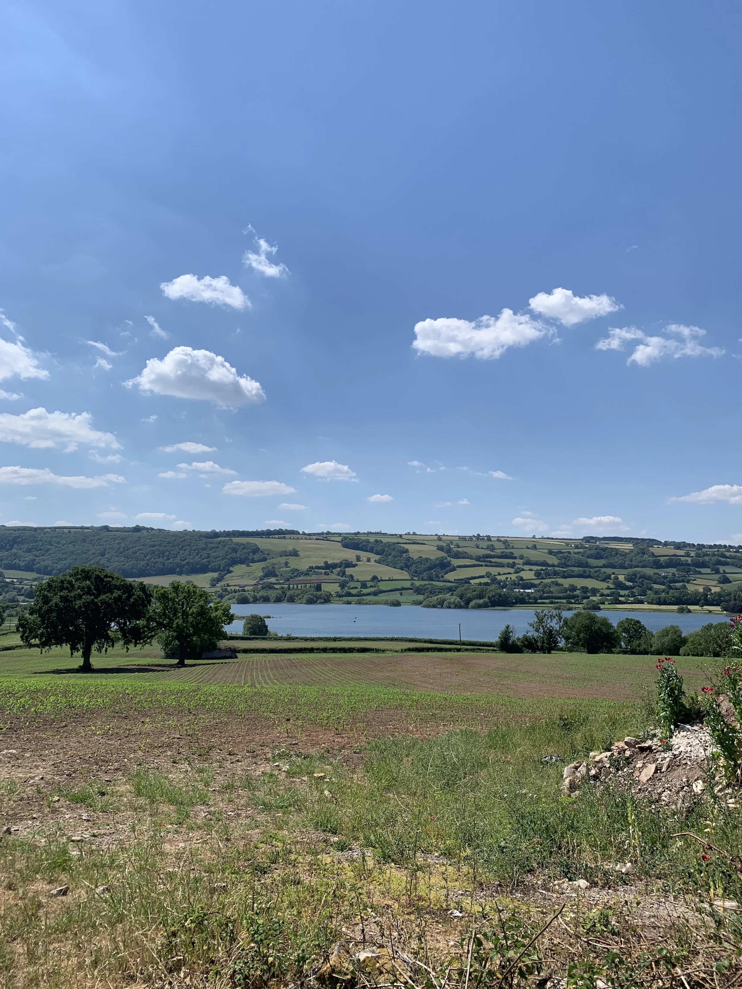 Chew Valley Lake and chips