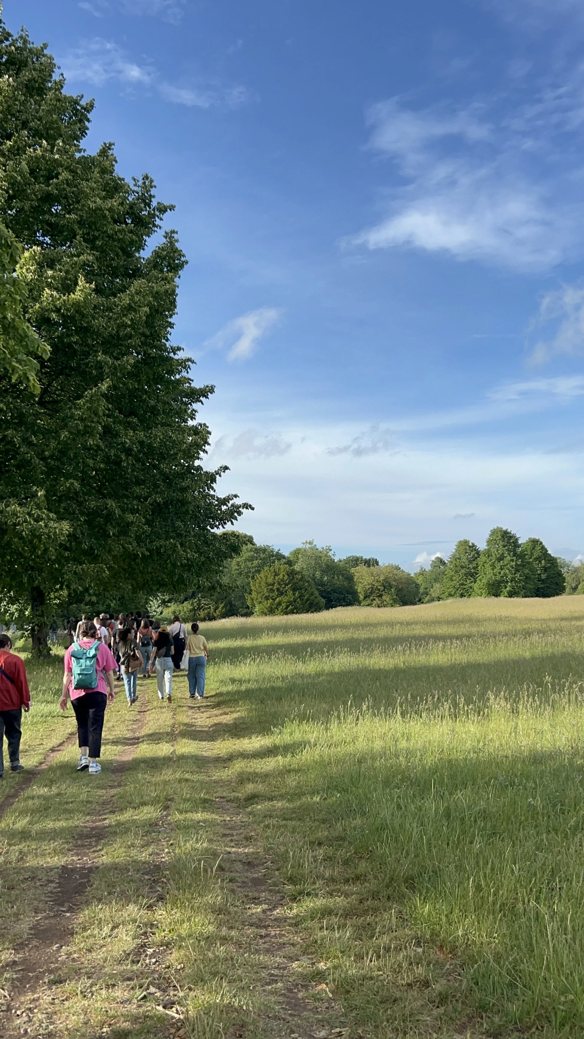 Clifton Downs and Sea Mills with Bristol Walk Fest