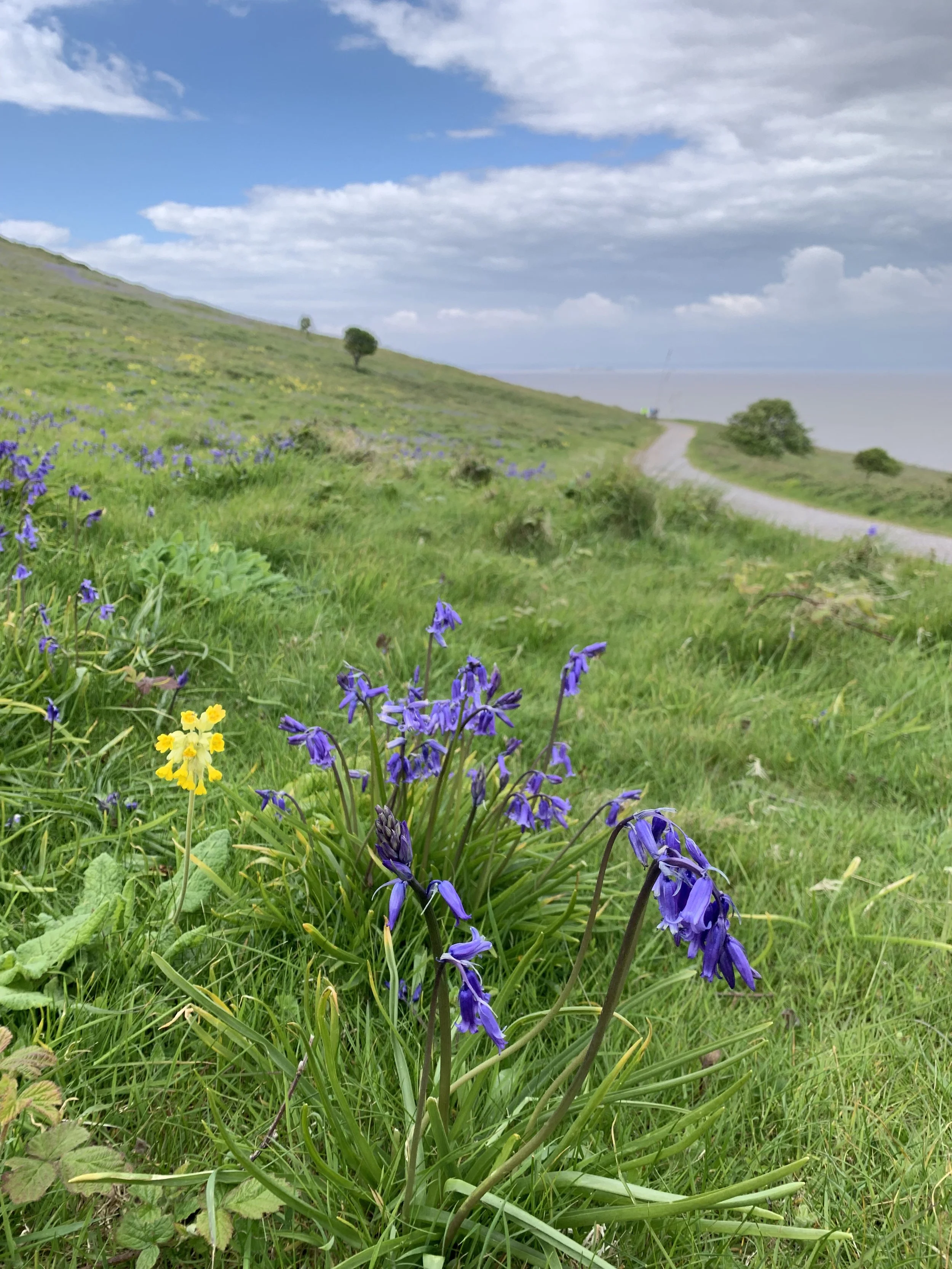 Brean Down