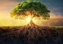 Small Group Ancestral Healing &amp; Sound Journey