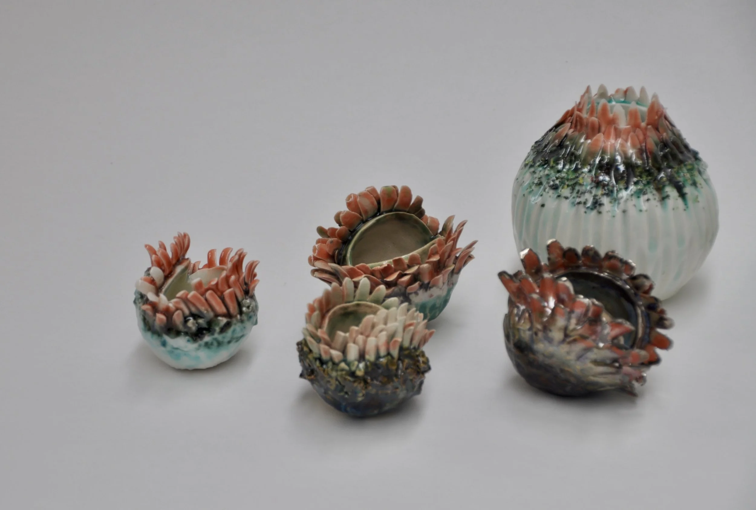 DSC_0953 3.JPG