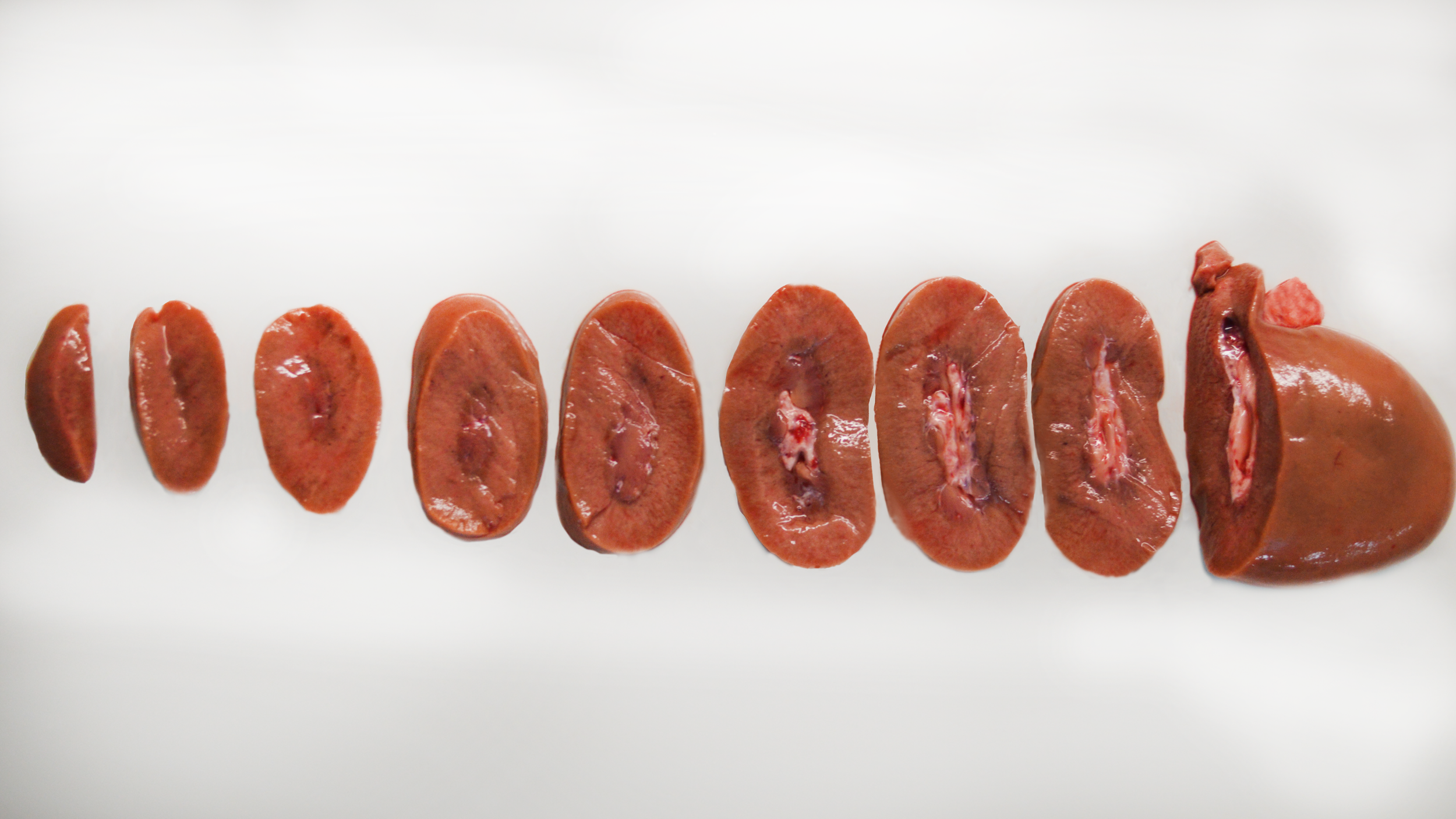 Kidney chop pic light.jpg