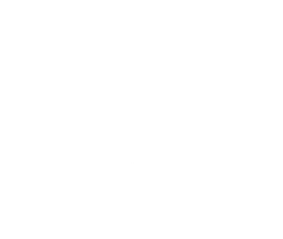 White line drawing of a coffee mug with a flower, a lemon, and a leaf on a black background.