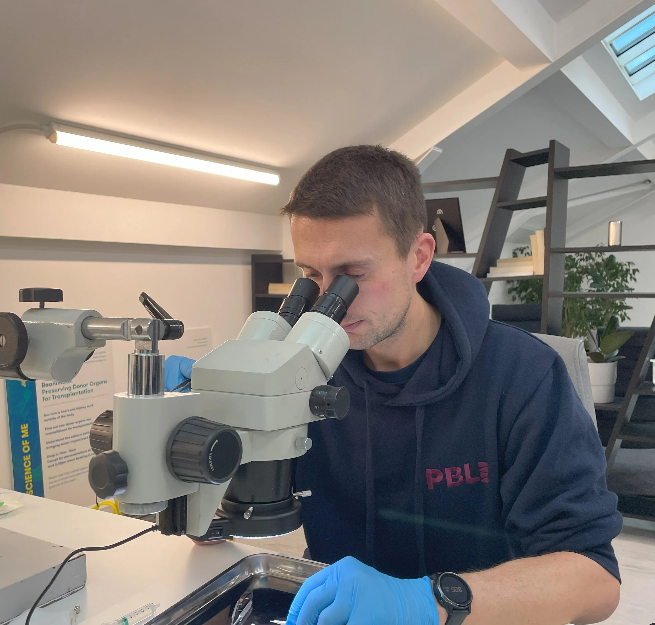 Our principle scientist using the stereomicroscope..jpg