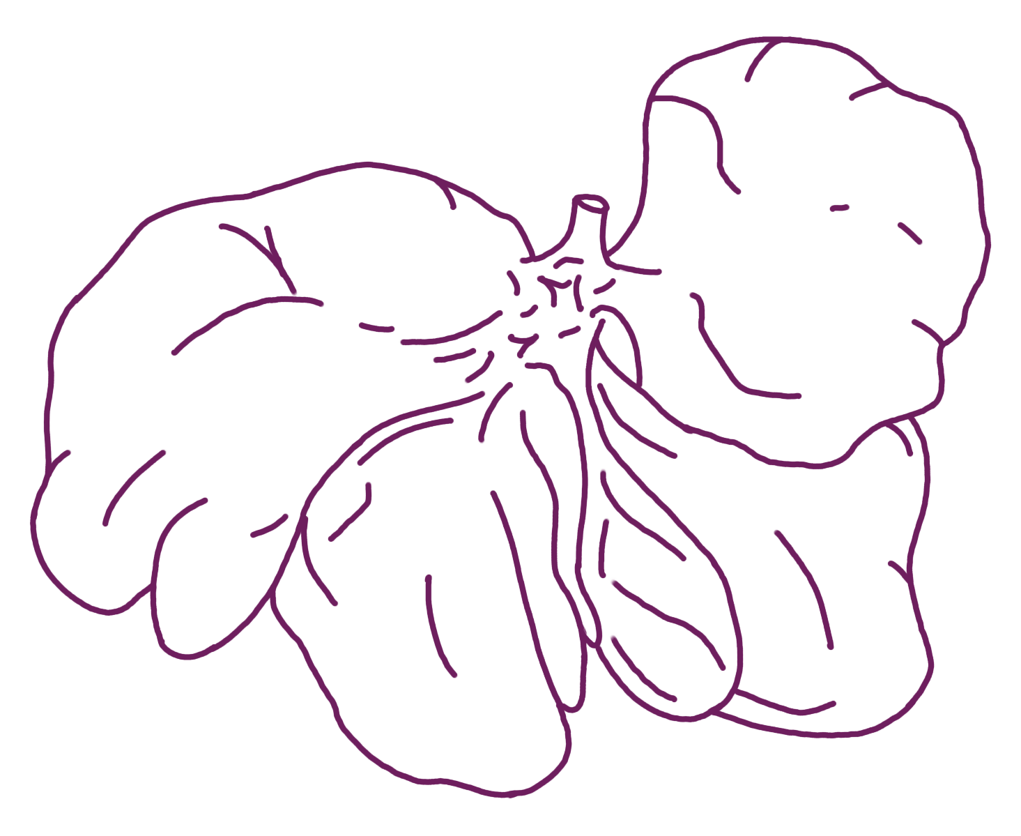 Outline drawing of a hibiscus flower with large petals and a prominent stamen, in purple lines on a black background.