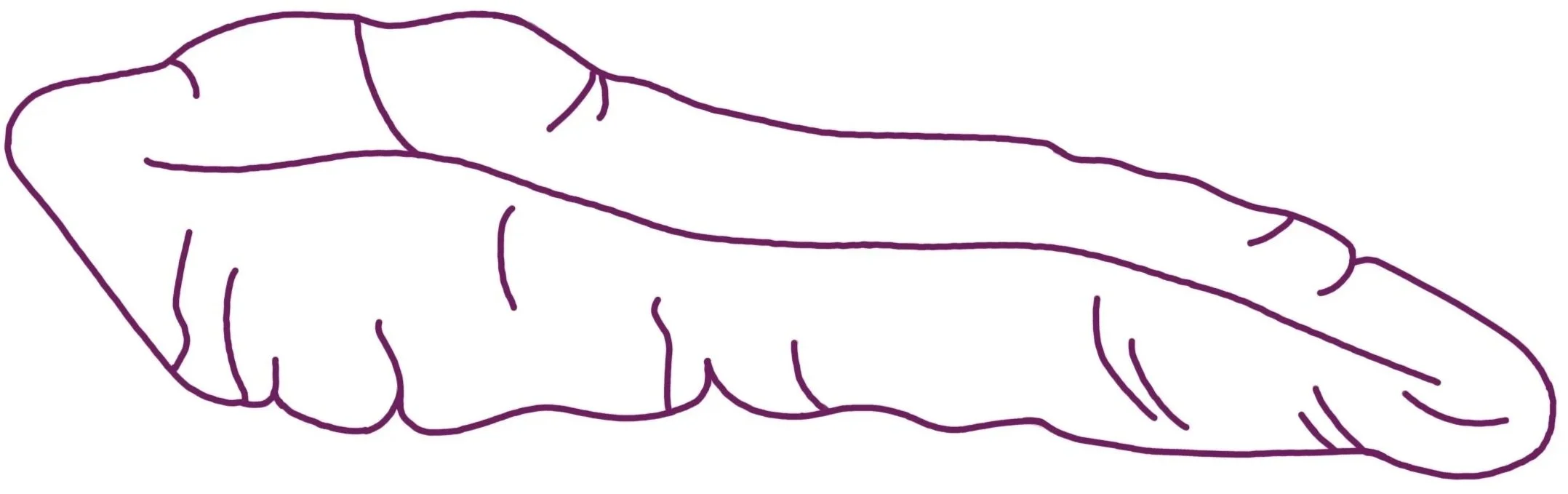 Line drawing of a hand making a fist with the thumb resting on top of the index finger.