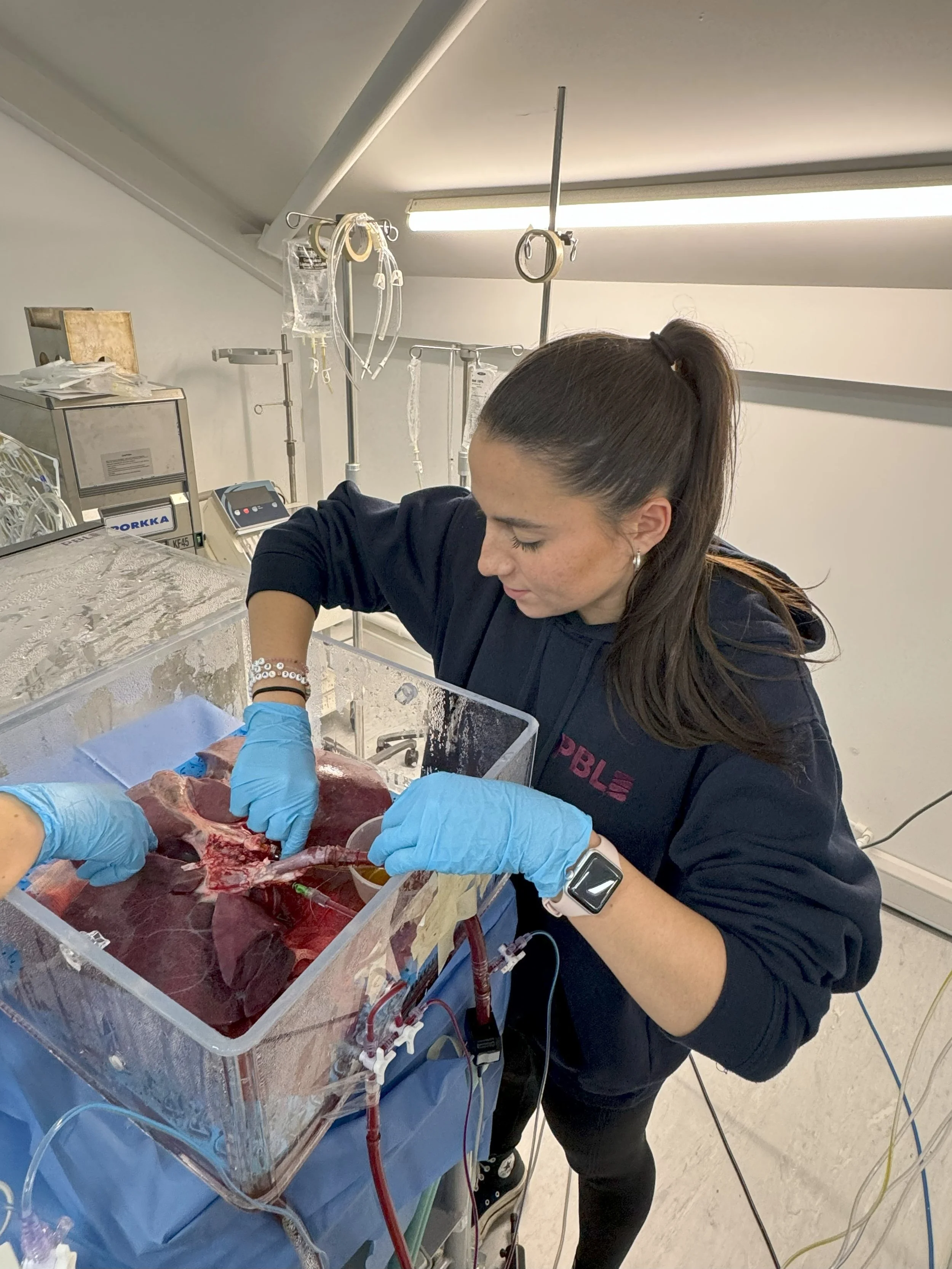 One of our scientists during liver perfusion day..jpg