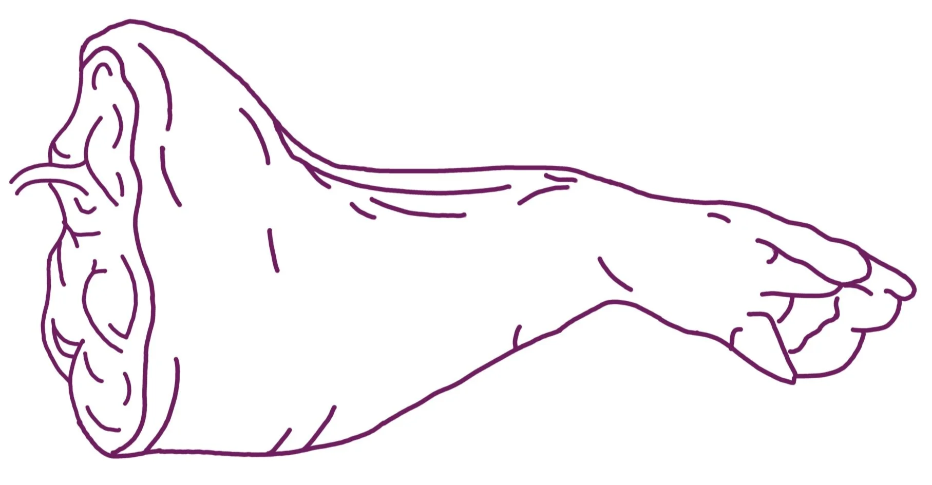 Outline drawing of a horse's head in profile, facing left.