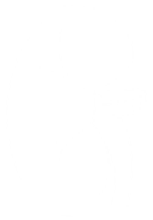 White outline drawing of a human kidney on a black background.