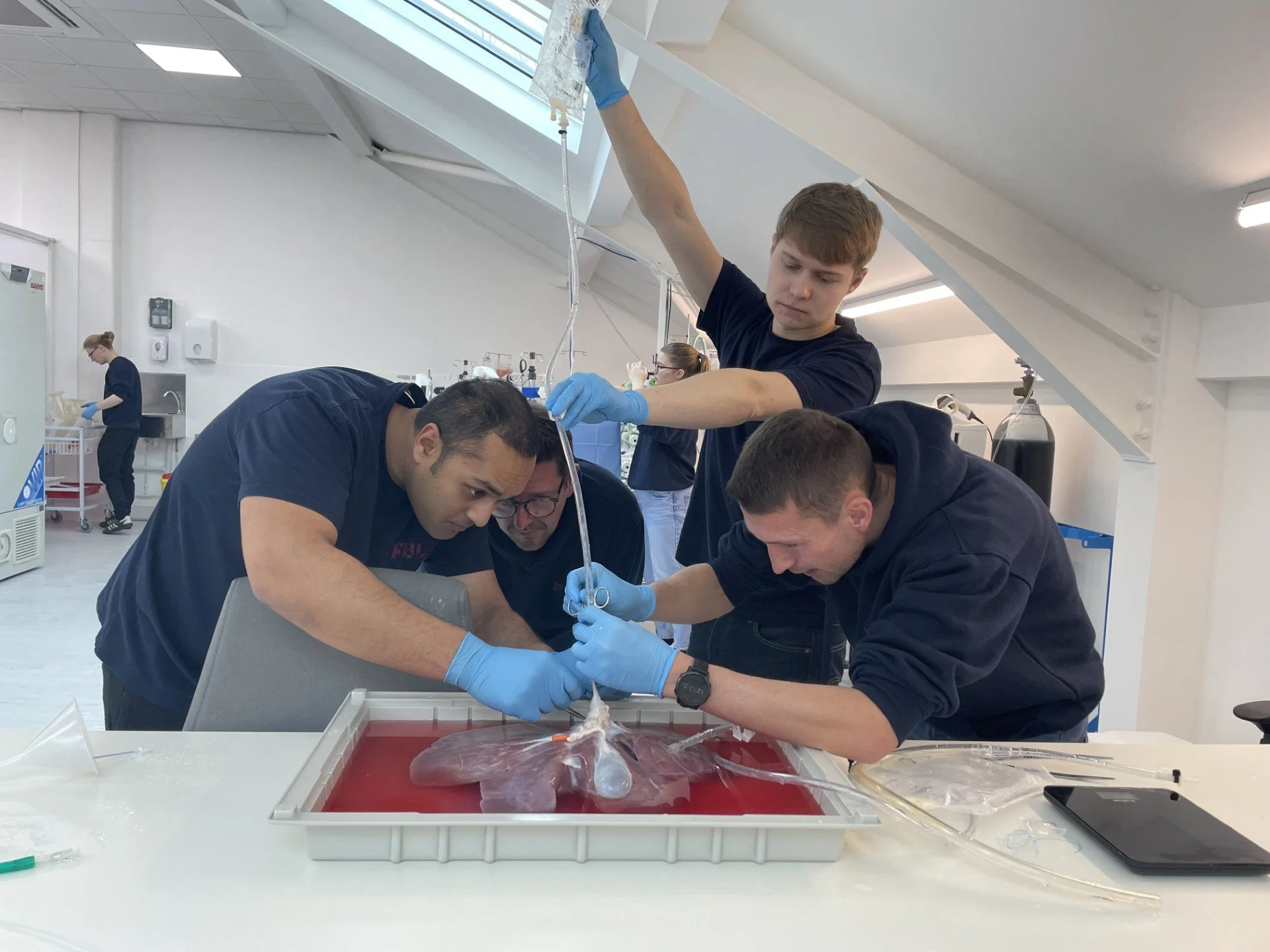 liver john,james,corbs,kav.jpg