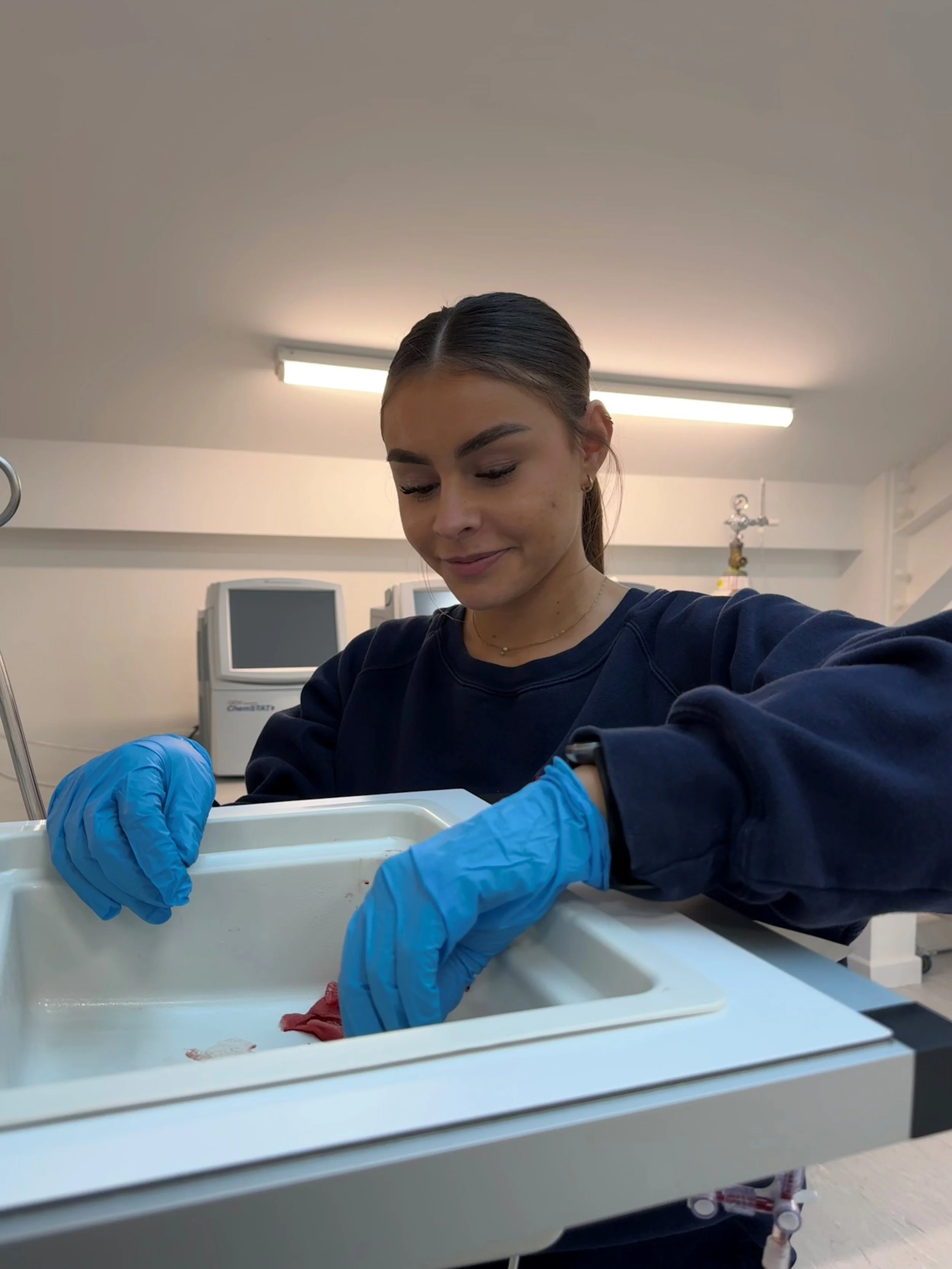 georgie with kidney circuit.jpg