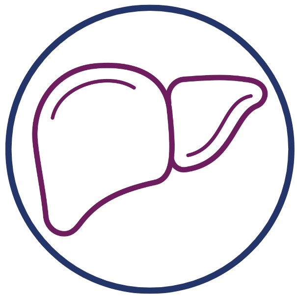 Line drawing of a lemon wedge and lemon slice on a plate with a circular border.