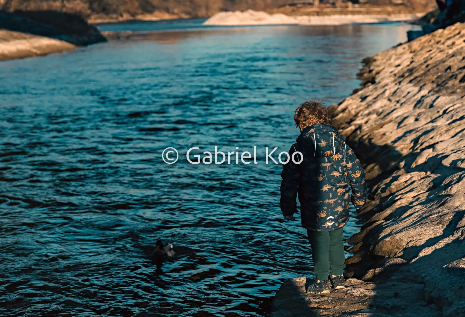 WhatsApp Image 2026-02-19 at 16.29.15.jpg