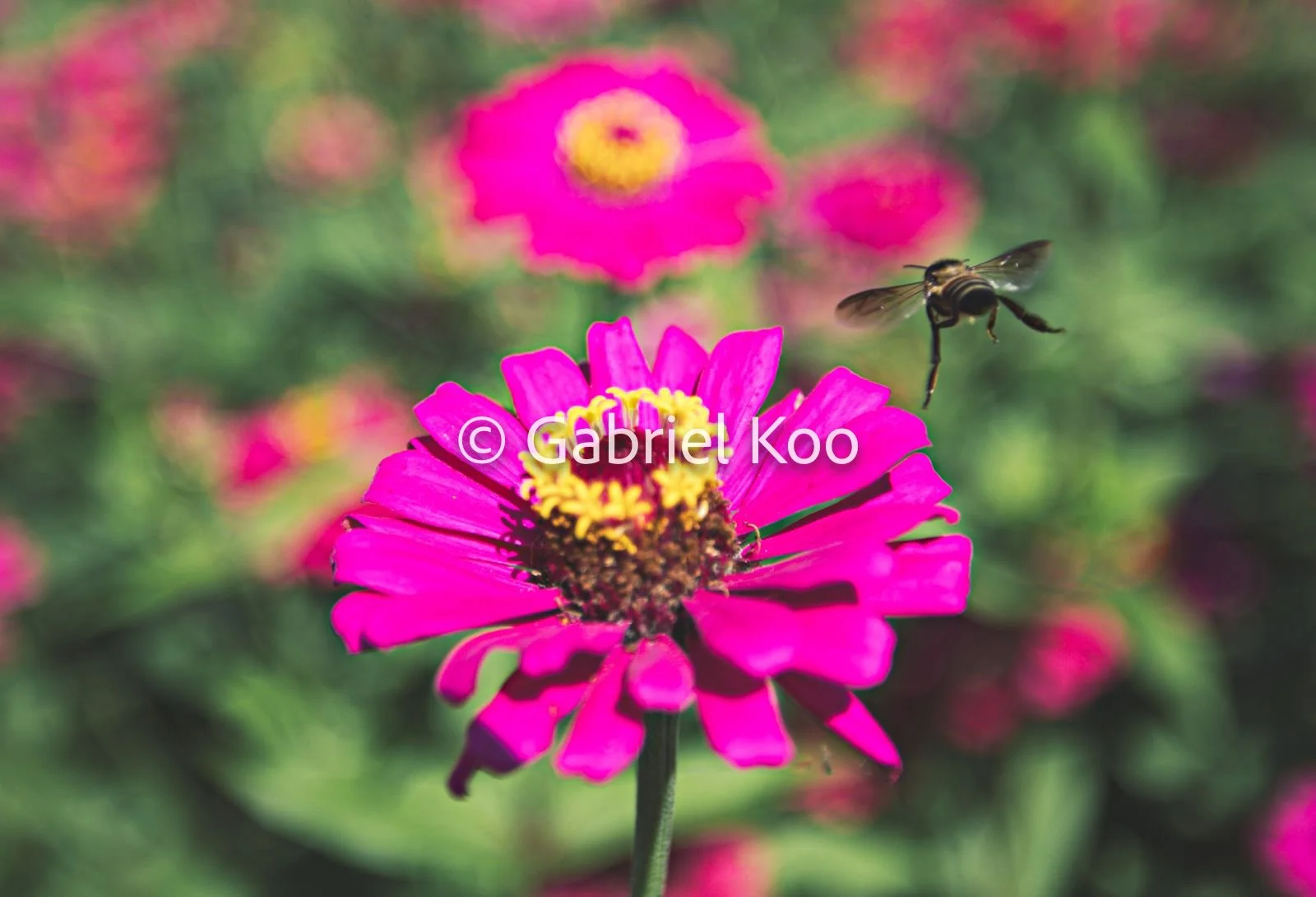 WhatsApp Image 2026-02-19 at 16.30.01 (4).jpg