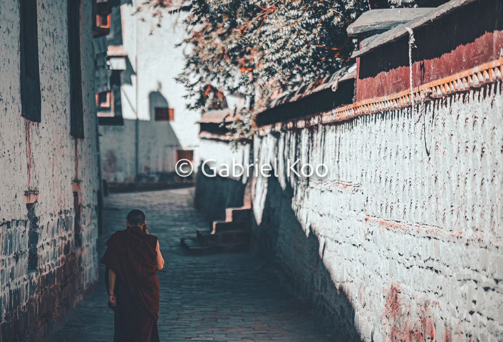 WhatsApp Image 2026-02-19 at 16.29.53 (7).jpg