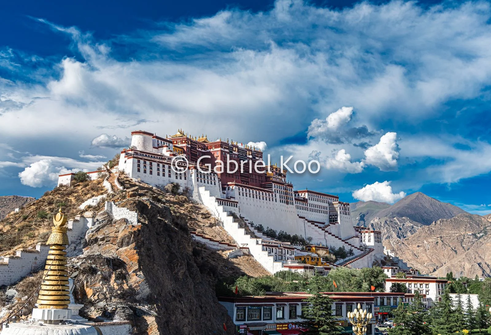 WhatsApp Image 2026-02-19 at 16.29.32 (3).jpg