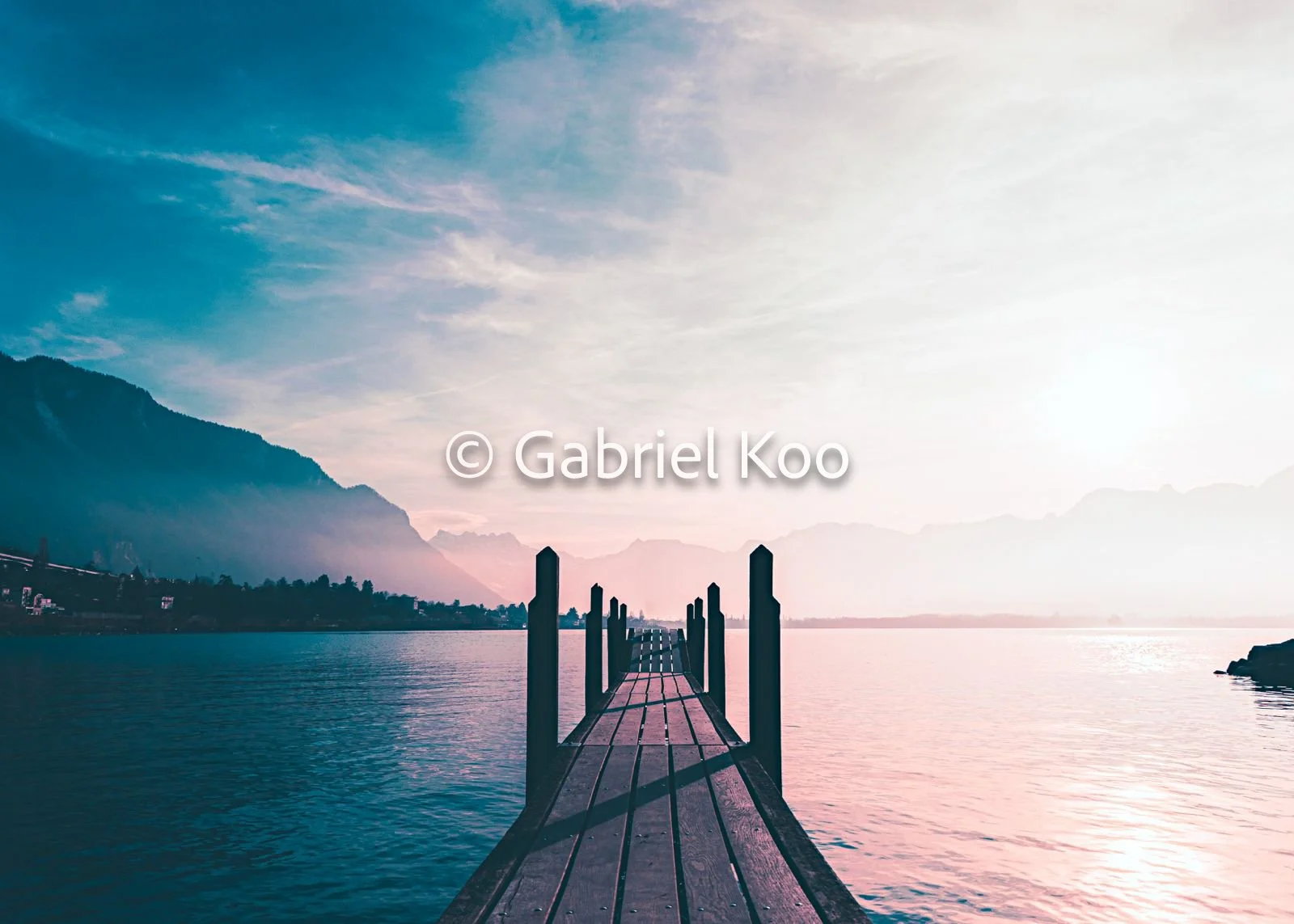 WhatsApp Image 2026-02-19 at 16.16.33.jpg