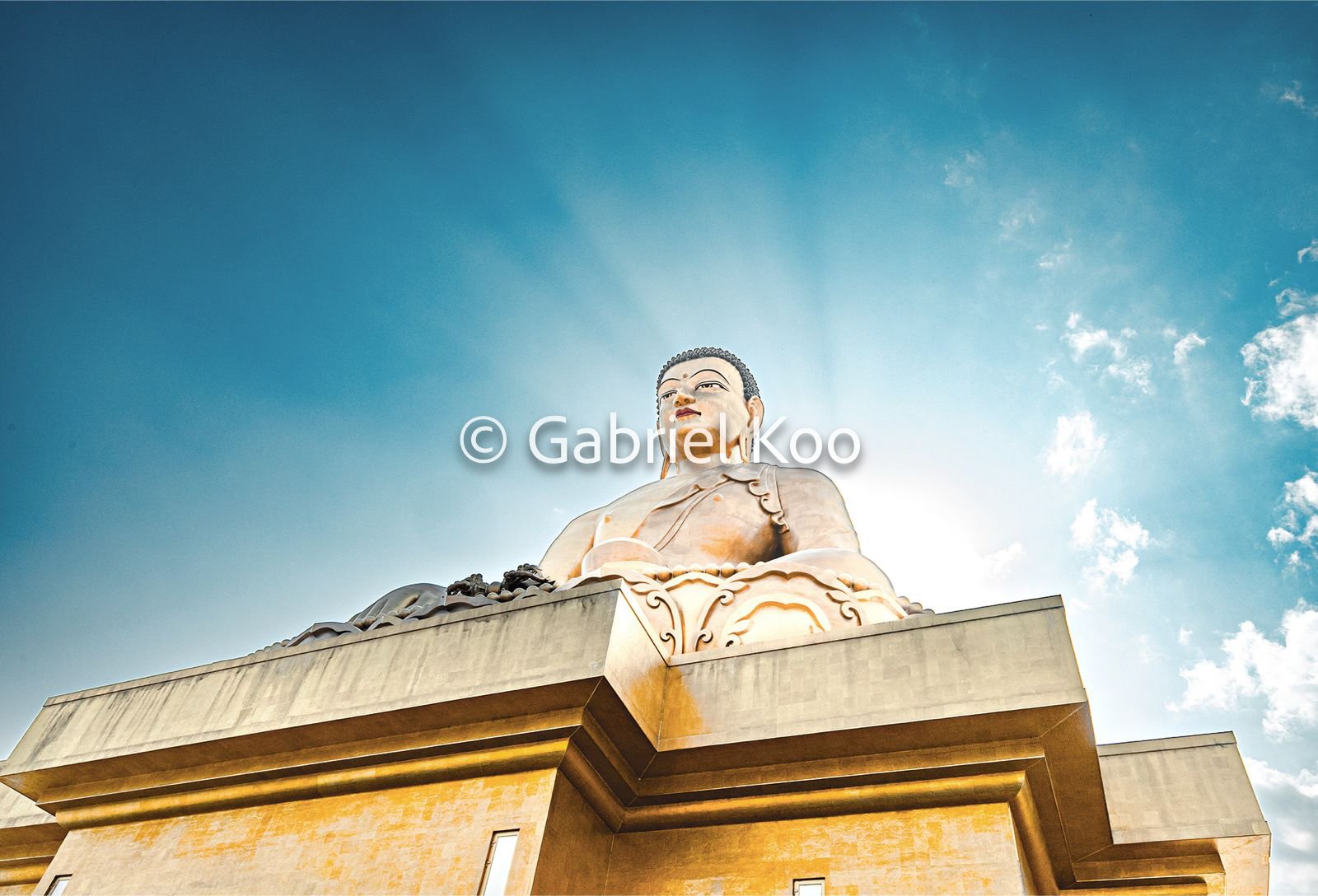 WhatsApp Image 2026-02-19 at 16.29.00 (1).jpg