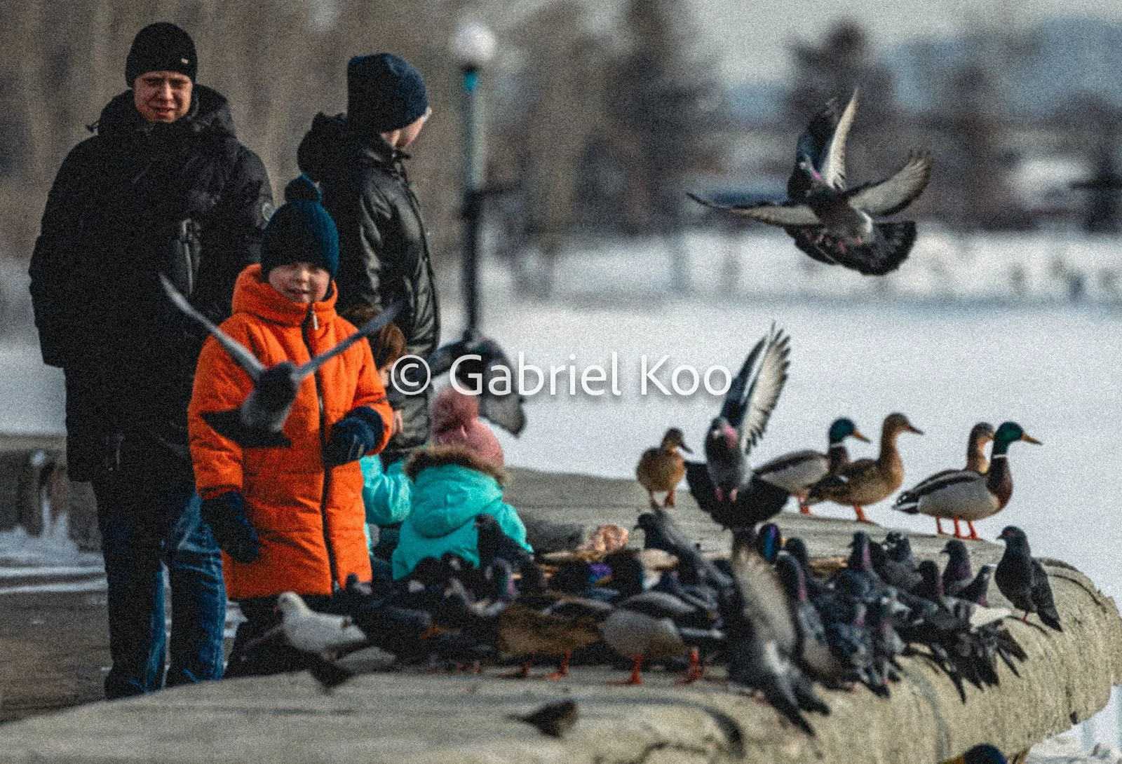 WhatsApp Image 2026-02-19 at 16.29.15 (6).jpg