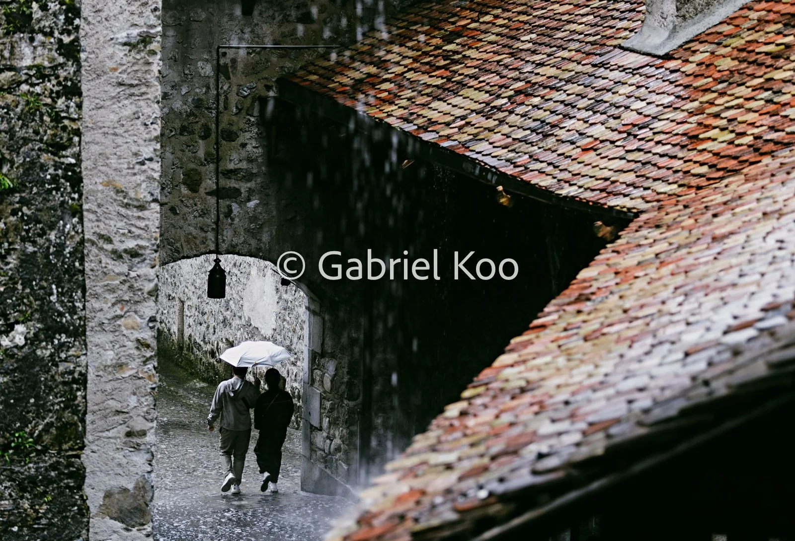 WhatsApp Image 2026-02-19 at 16.29.31 (2).jpg