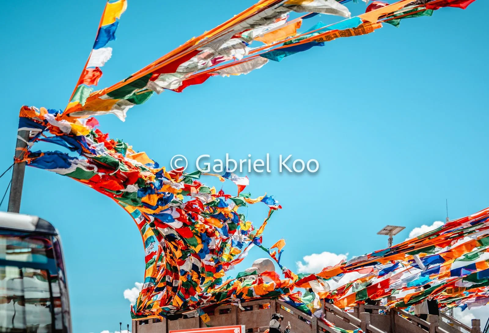 WhatsApp Image 2026-02-19 at 16.29.32 (2).jpg