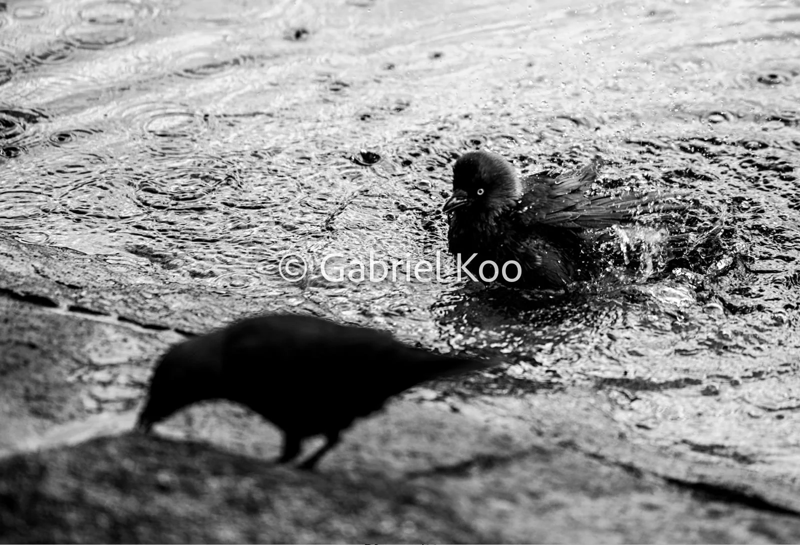 WhatsApp Image 2026-02-19 at 16.29.54 (9).jpg