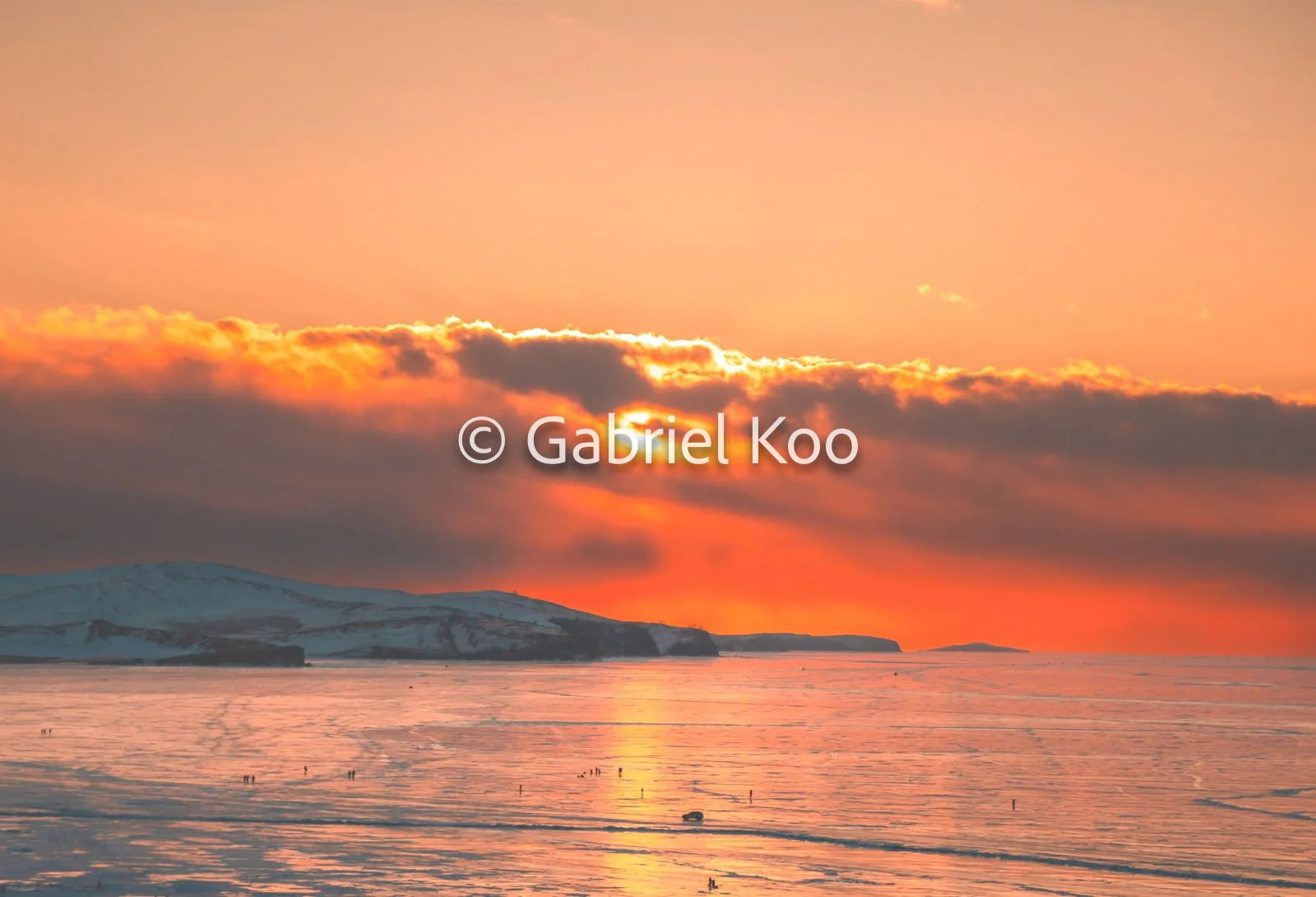 WhatsApp Image 2026-02-19 at 16.29.53 (4).jpg