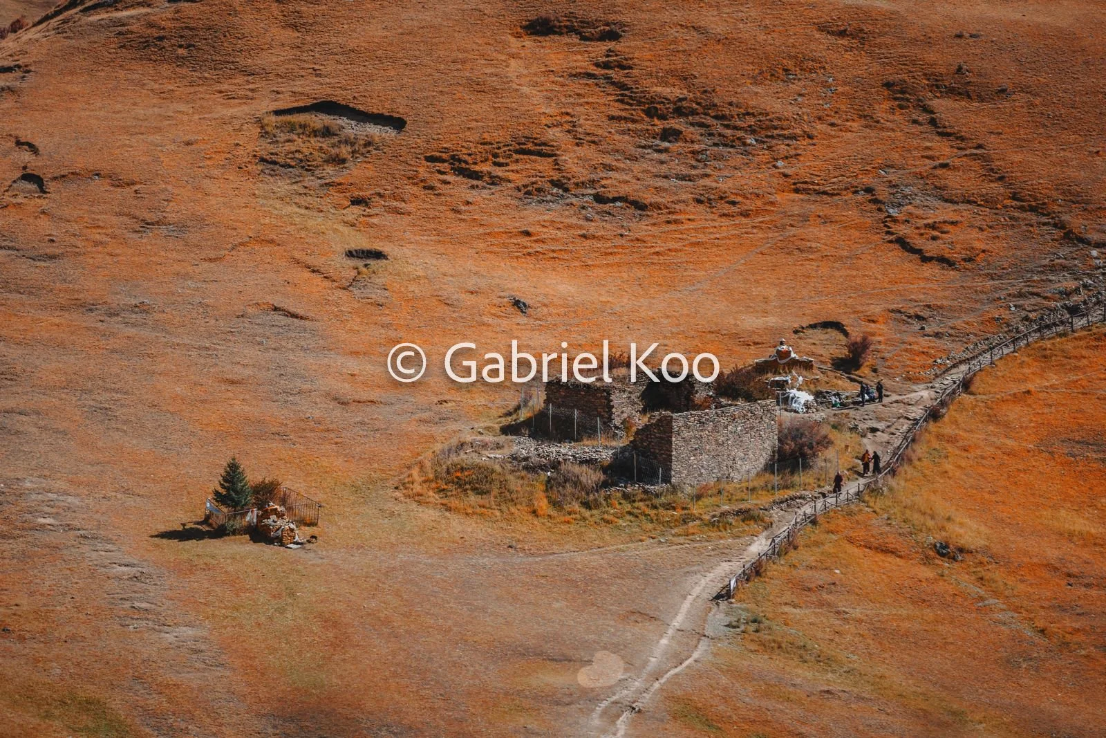 WhatsApp Image 2026-02-19 at 16.29.00 (10).jpg