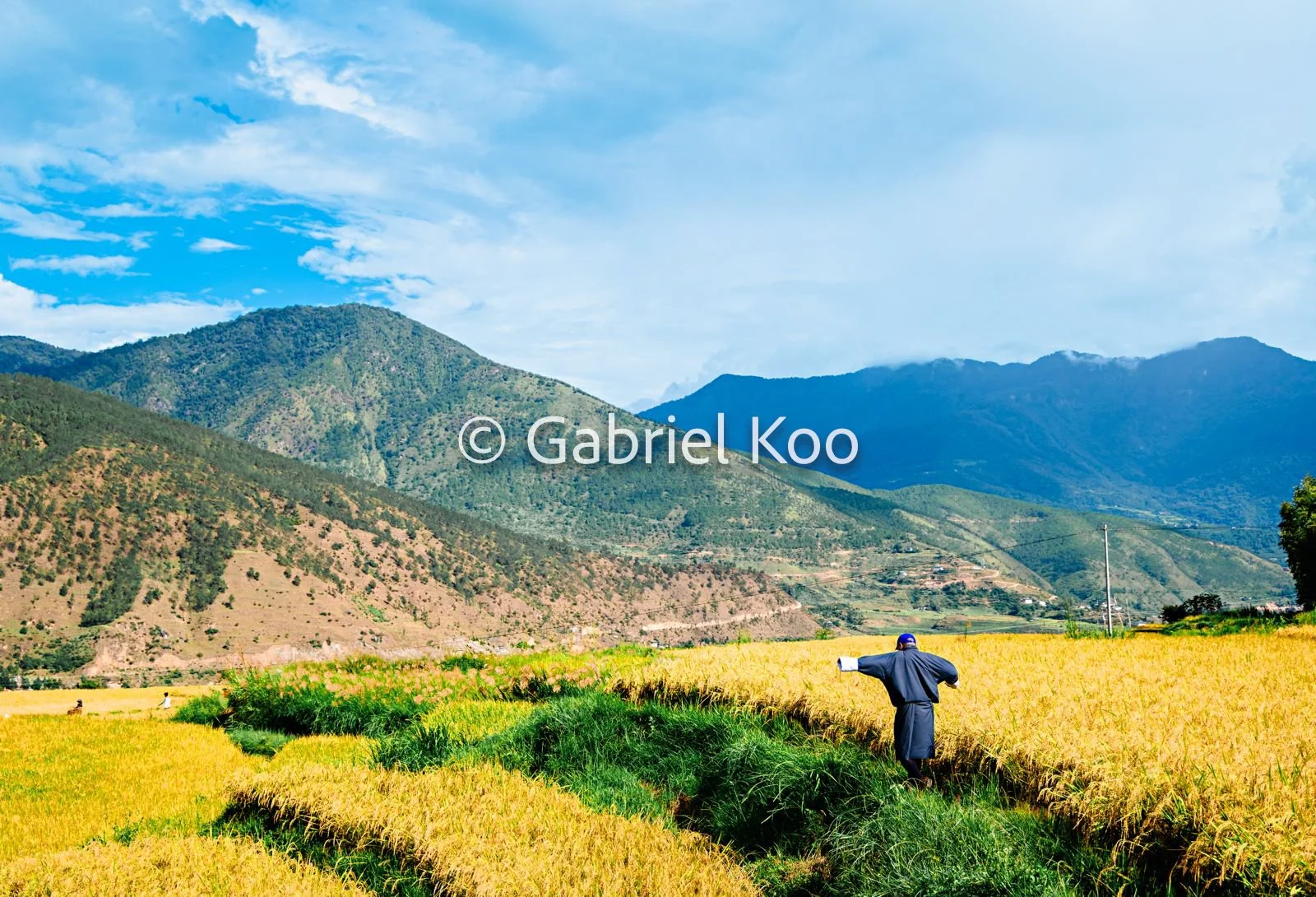 WhatsApp Image 2026-02-19 at 16.29.31 (1).jpg