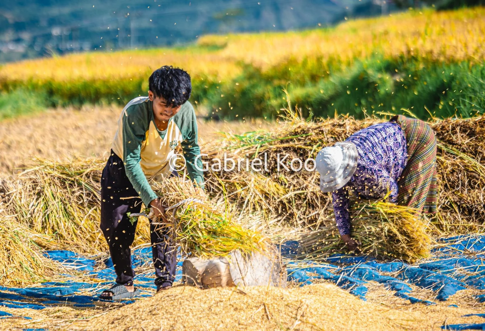 WhatsApp Image 2026-02-19 at 16.29.31 (5).jpg