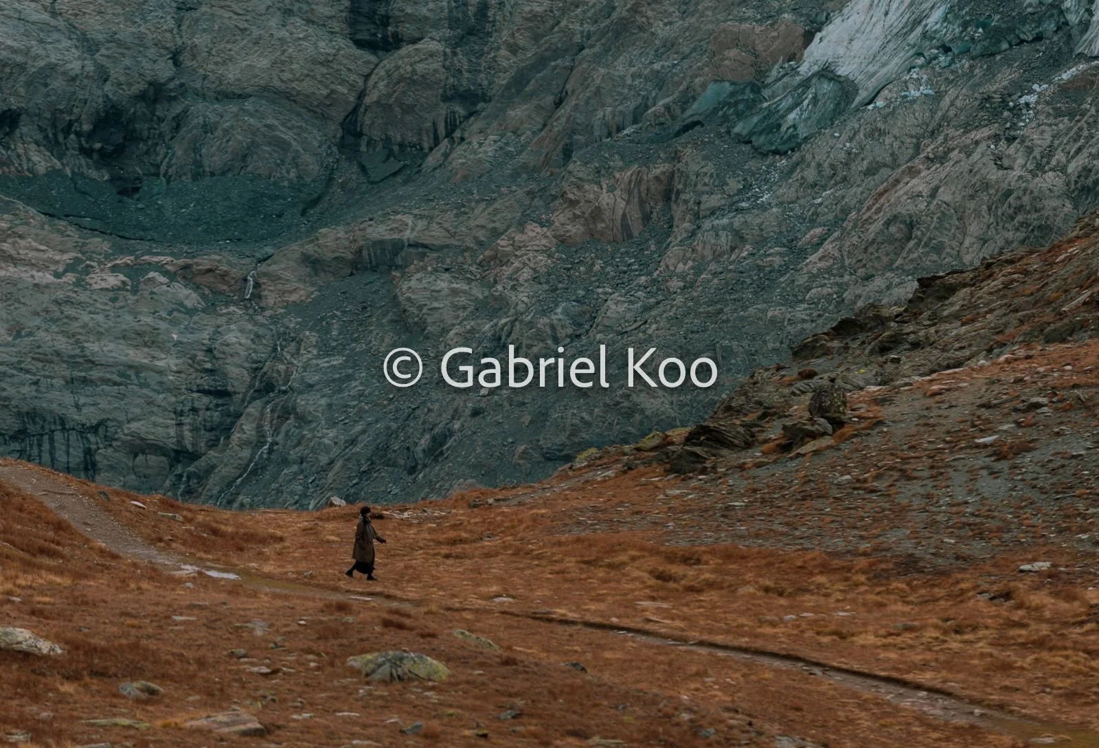 WhatsApp Image 2026-02-19 at 16.16.50 (2).jpg