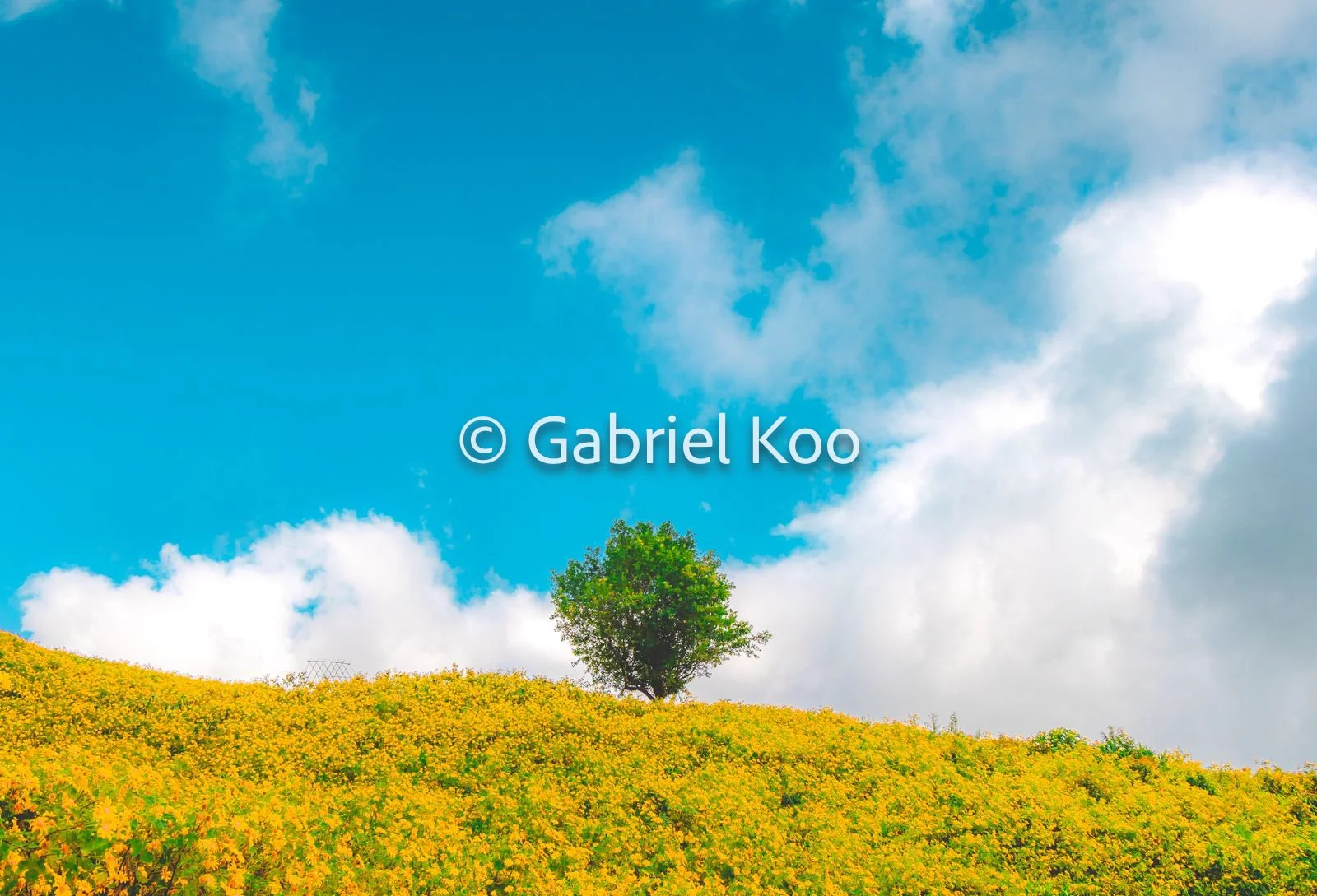 WhatsApp Image 2026-02-19 at 16.30.01 (5).jpg