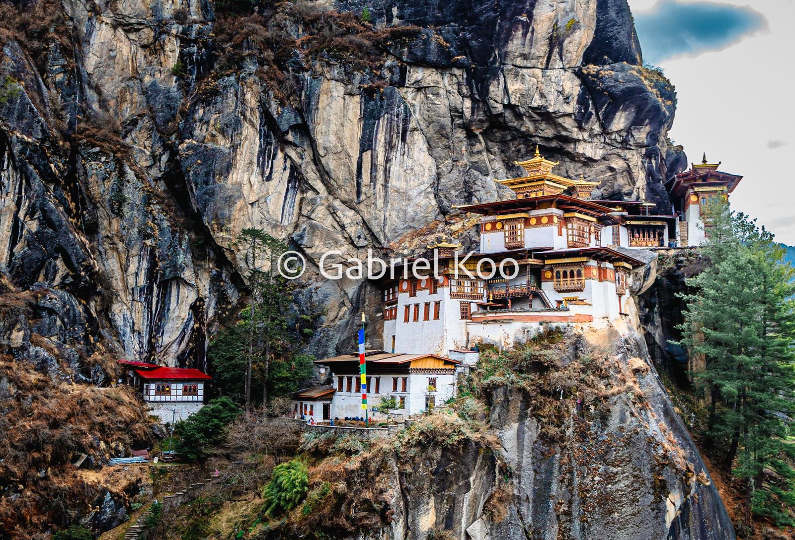 WhatsApp Image 2026-02-19 at 16.29.01.jpg