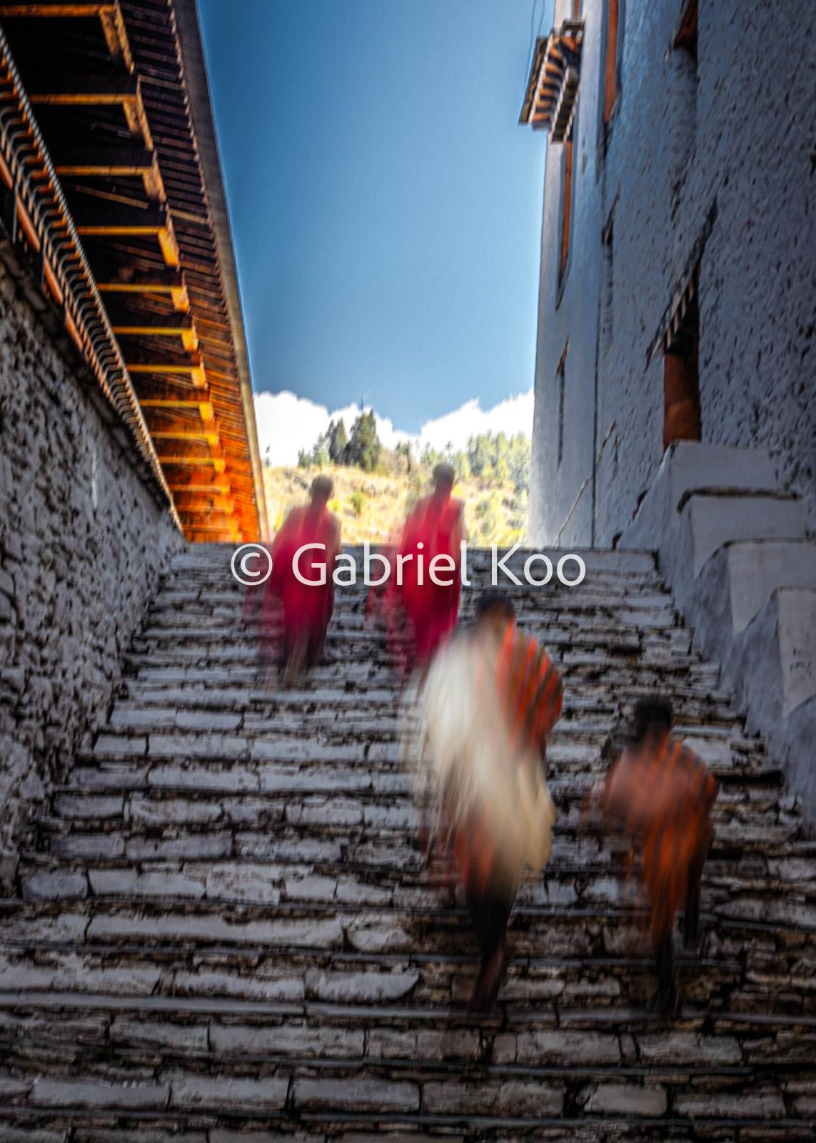 WhatsApp Image 2026-02-19 at 16.29.53 (2).jpg