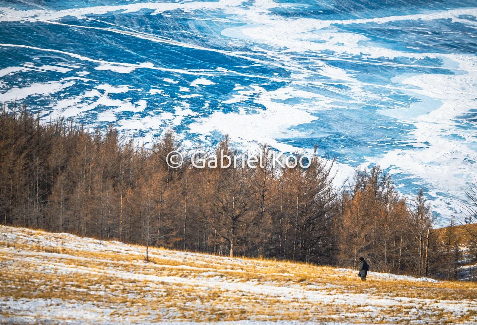 WhatsApp Image 2026-02-19 at 16.29.54 (6).jpg