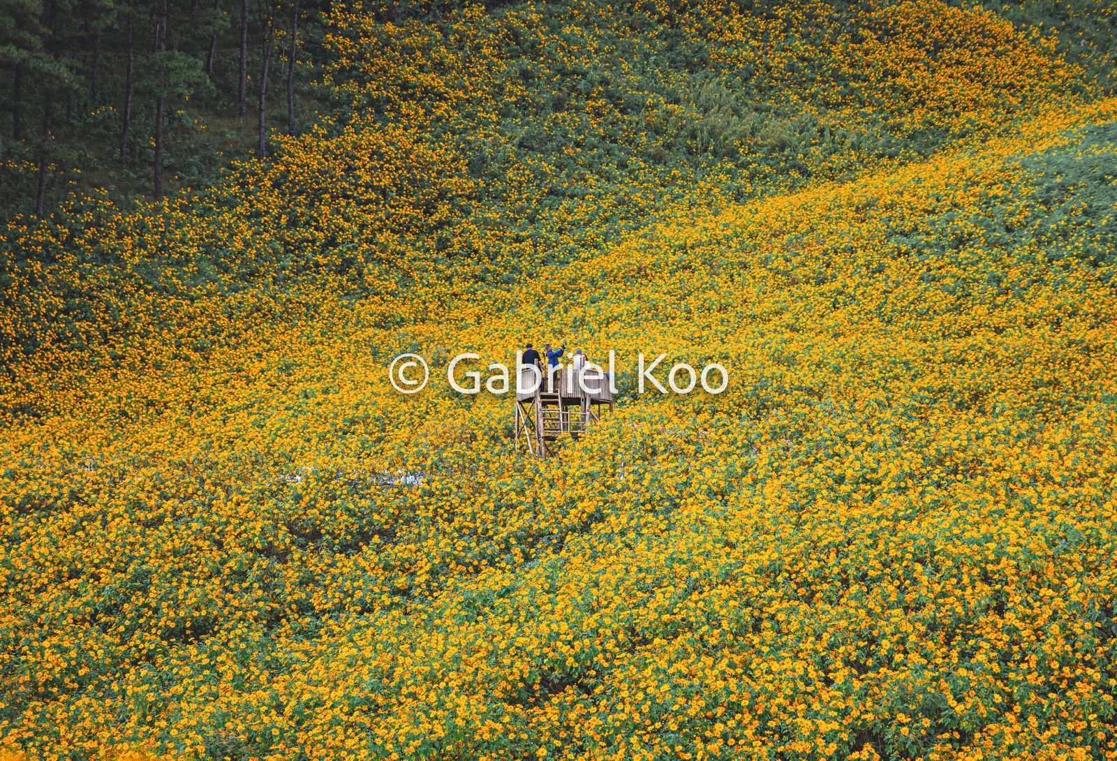 WhatsApp Image 2026-02-19 at 16.30.01 (3).jpg