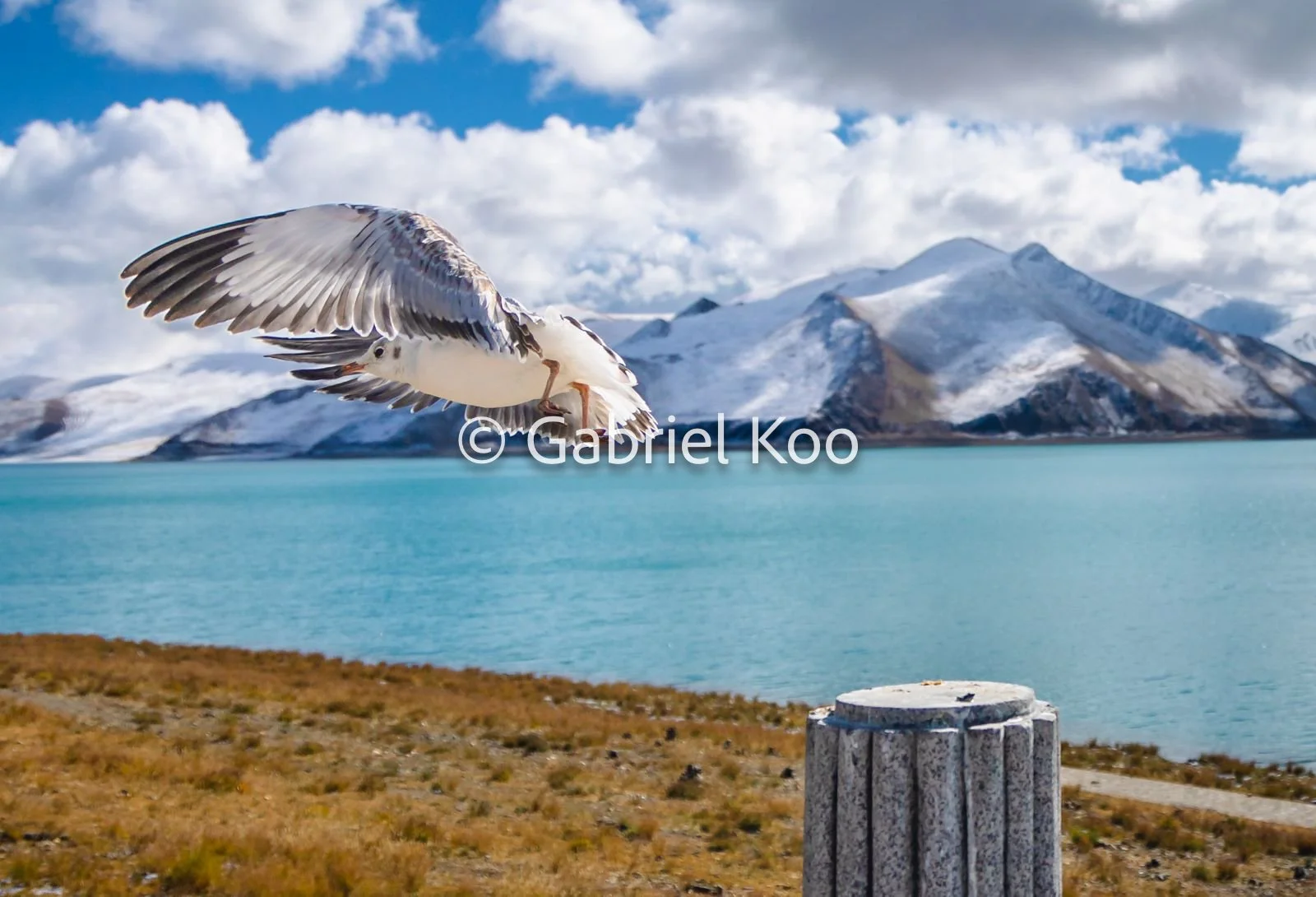 WhatsApp Image 2026-02-19 at 16.29.15 (11).jpg