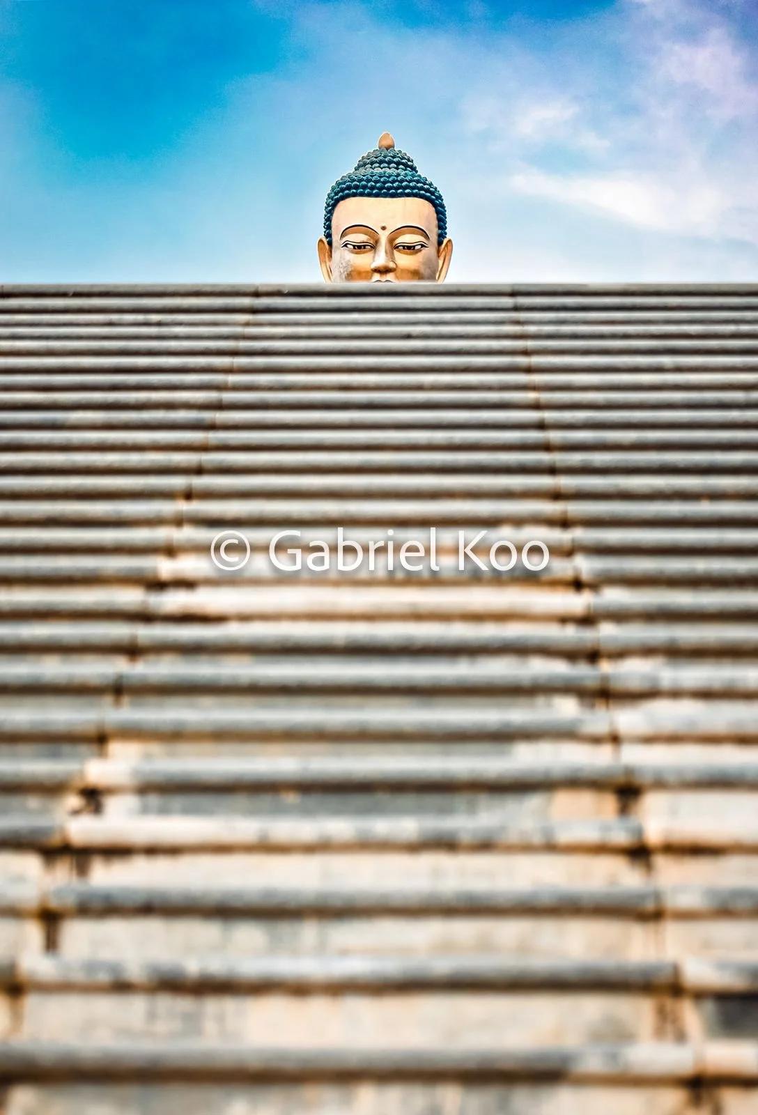 WhatsApp Image 2026-02-19 at 16.29.00.jpg