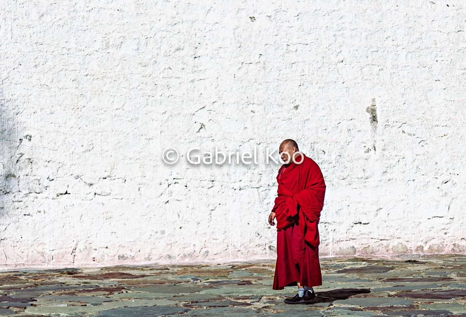 WhatsApp Image 2026-02-19 at 16.29.31.jpg