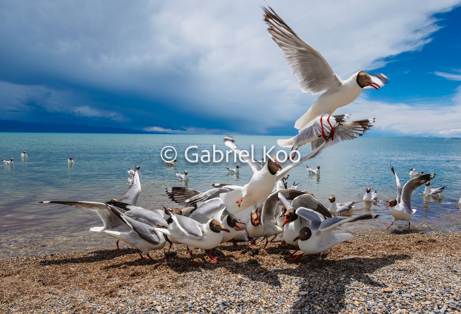 WhatsApp Image 2026-02-19 at 16.29.53.jpg