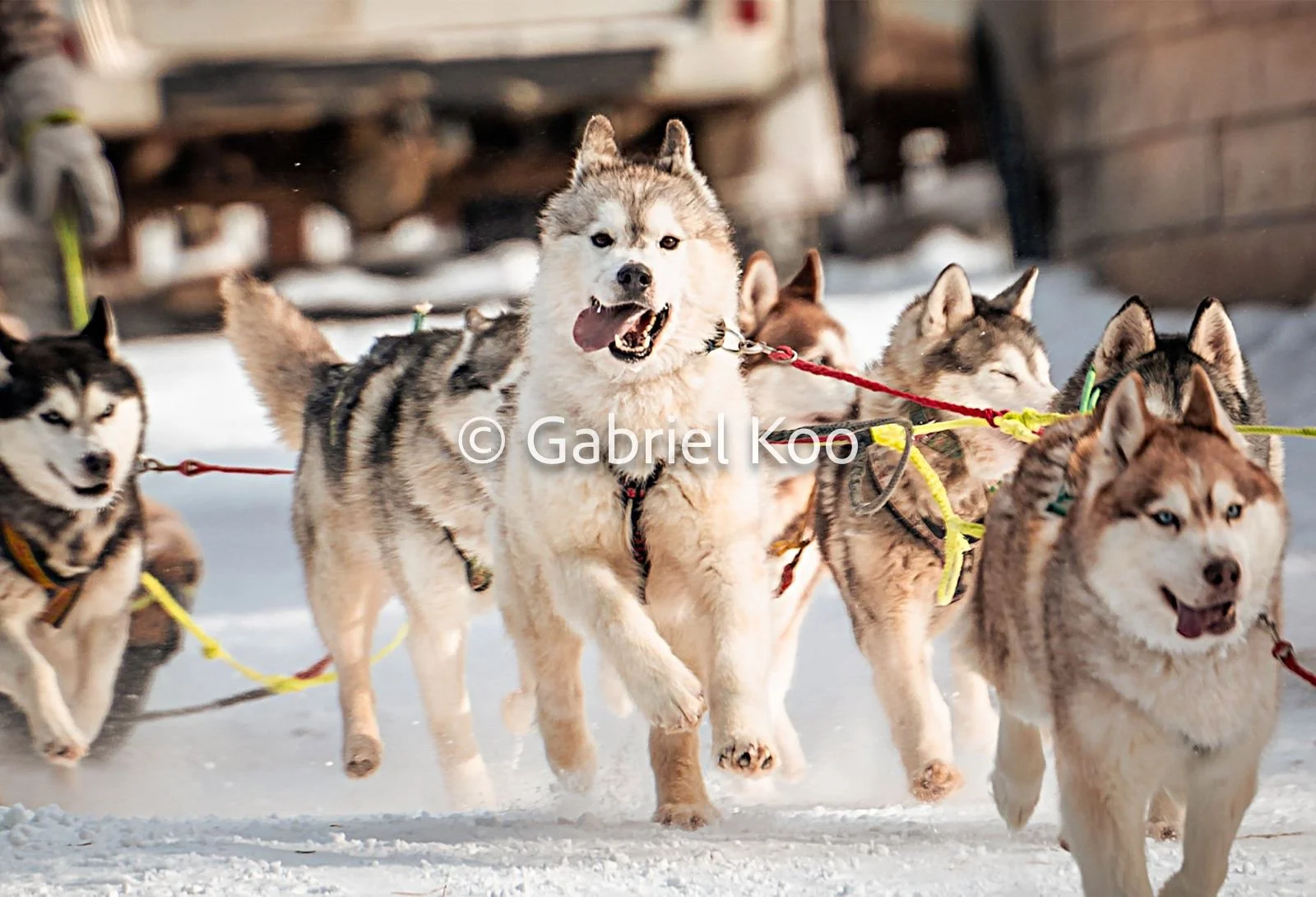 WhatsApp Image 2026-02-19 at 16.16.50 (4).jpg