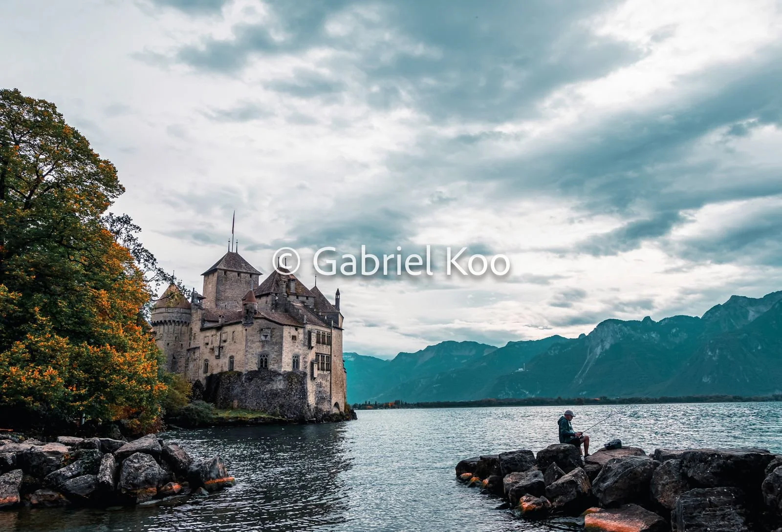 WhatsApp Image 2026-02-19 at 16.29.15 (12).jpg