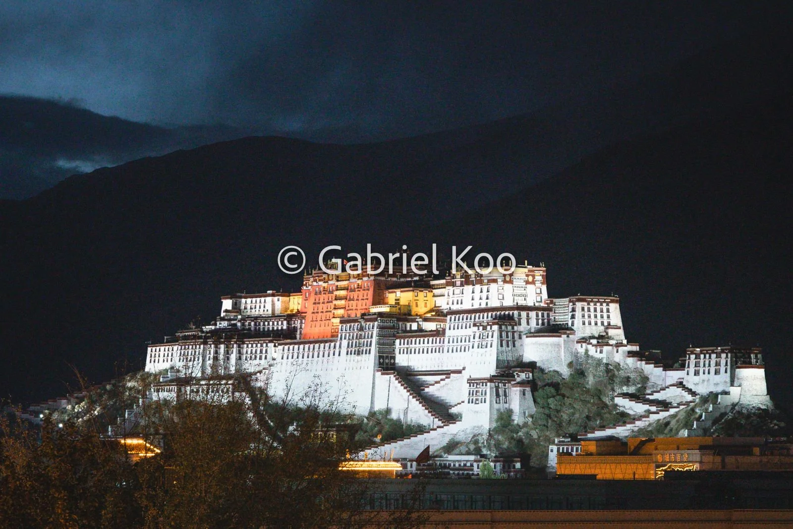 WhatsApp Image 2026-02-19 at 16.30.01 (6).jpg