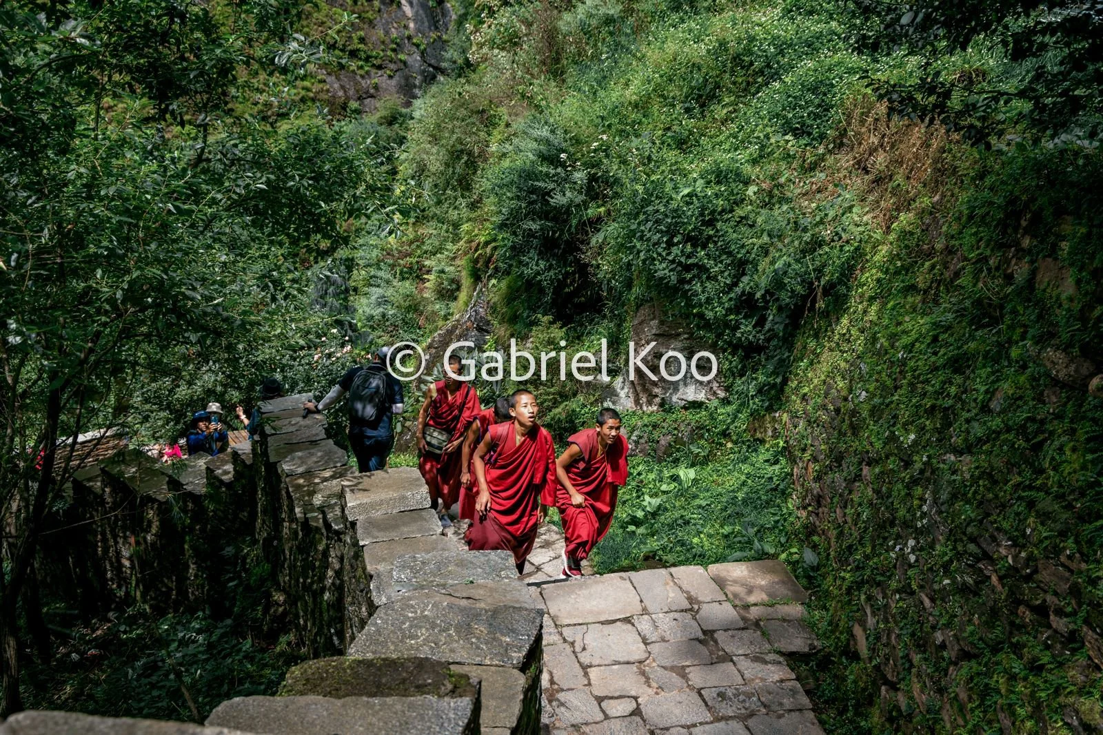 WhatsApp Image 2026-02-19 at 16.29.14 (2).jpg