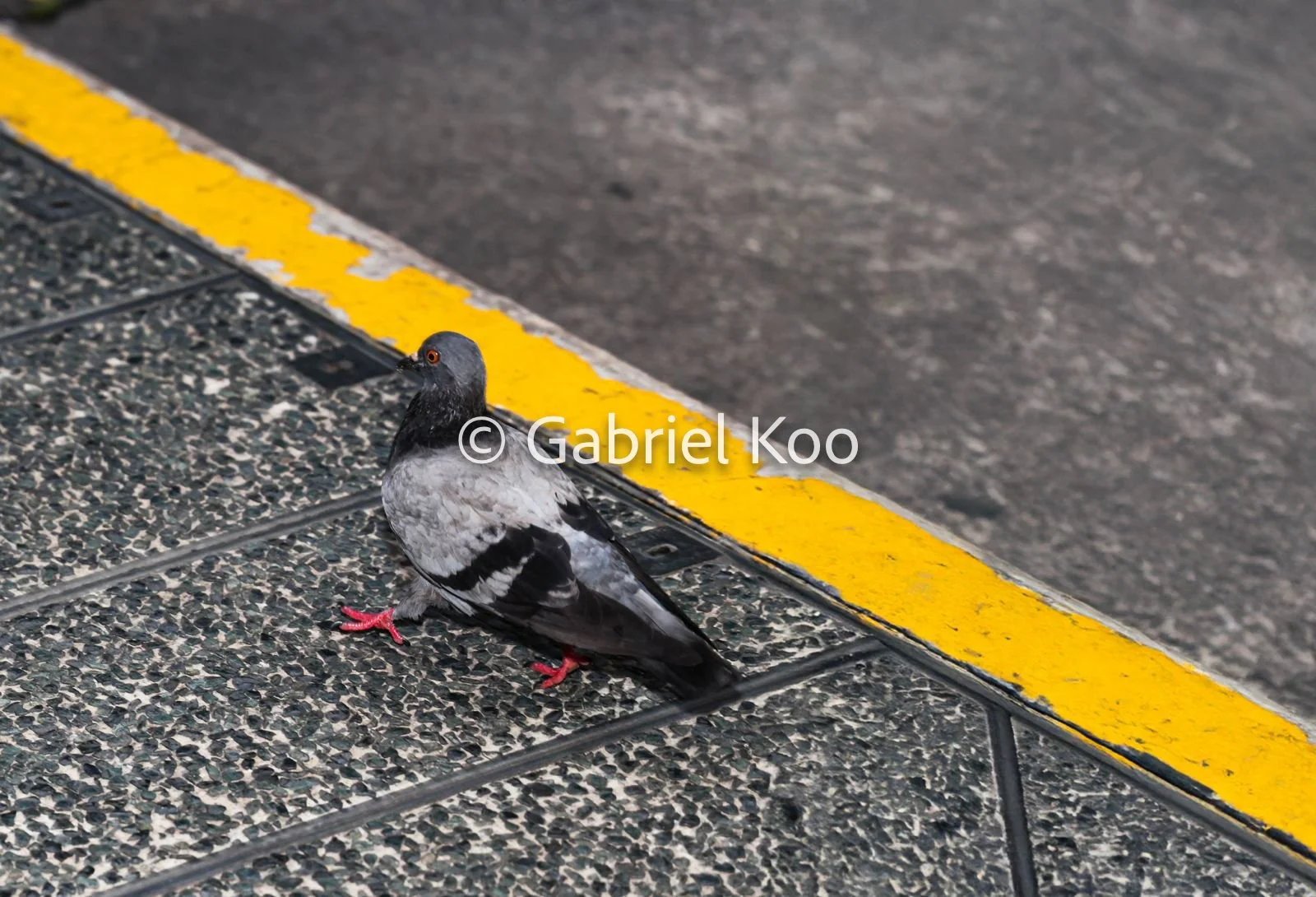 WhatsApp Image 2026-02-19 at 16.29.14 (4).jpg